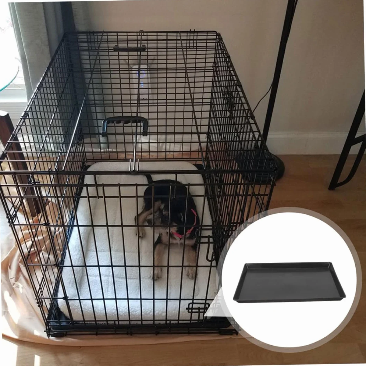 Plateau Plastique Étanche Remplacement Fond de Cage pour Chien Oiseau
