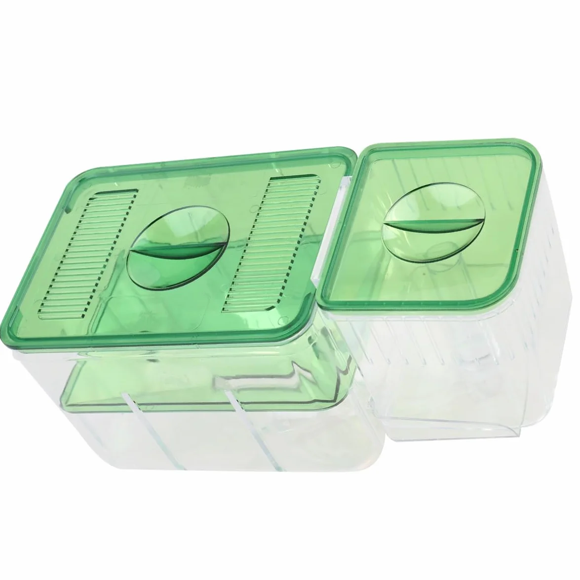 SHINEOFI Boîte D'élevage pour Aquarium en Acrylique Vert, Protection des Œufs de Poisson Alevins, Couveuse Isolante pour Maison et Aquarium
