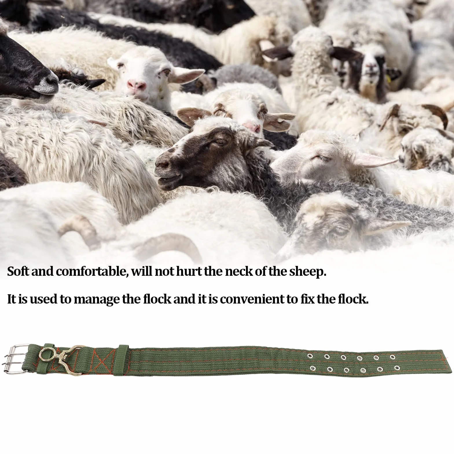 Collier de chèvre réglable en Nylon pour petits animaux de ferme