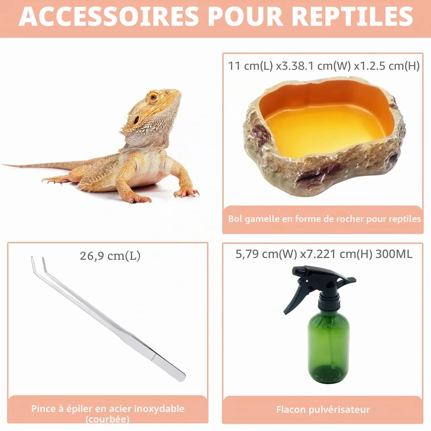 PC Reptile Growth Terrarium, 12" x 7" x 6", Vivarium Vue Complète pour Lézard Gecko Léopard Dragon Barbu