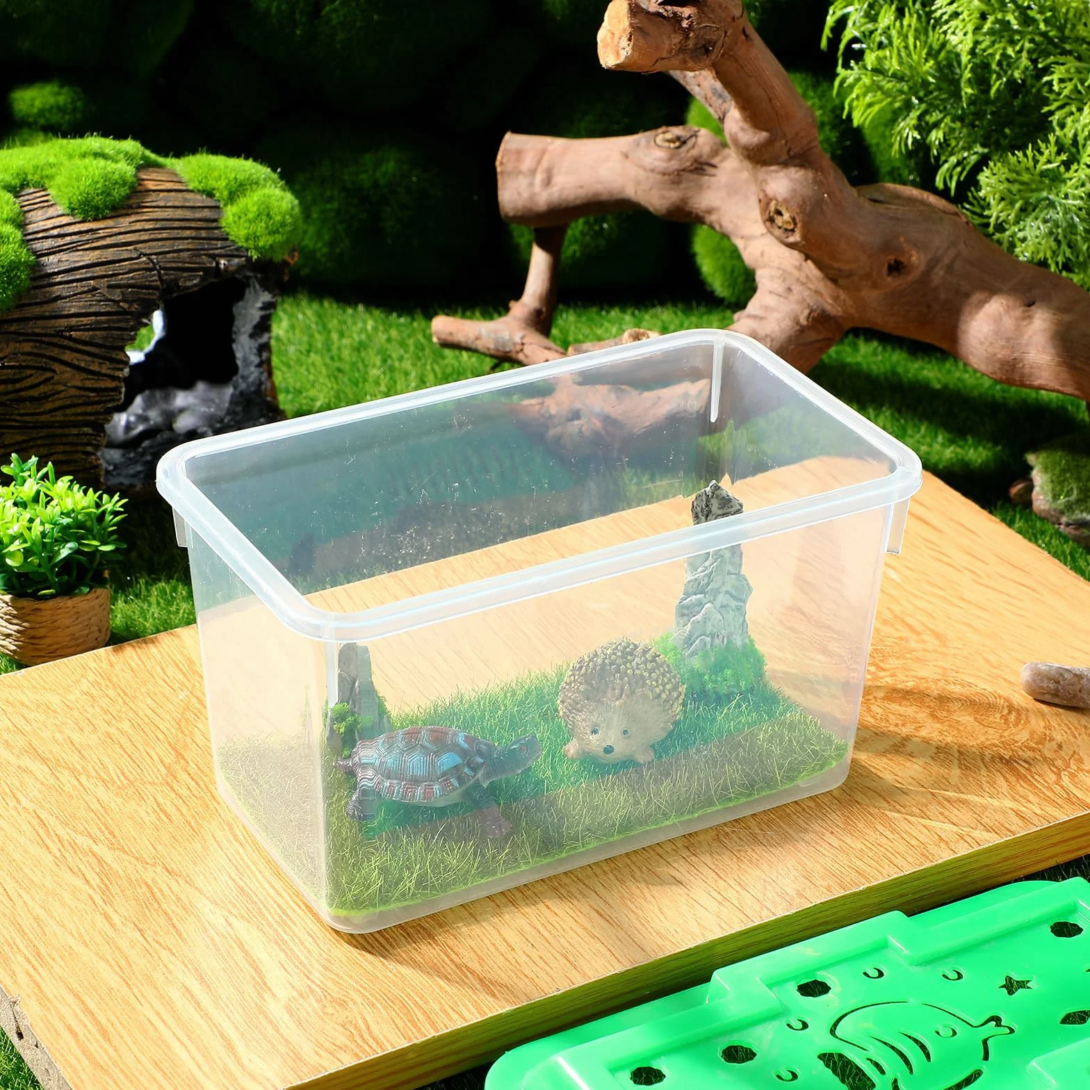Transporteur Portable pour Tortues et Poissons avec Poignée, Aquarium en ABS Transparent