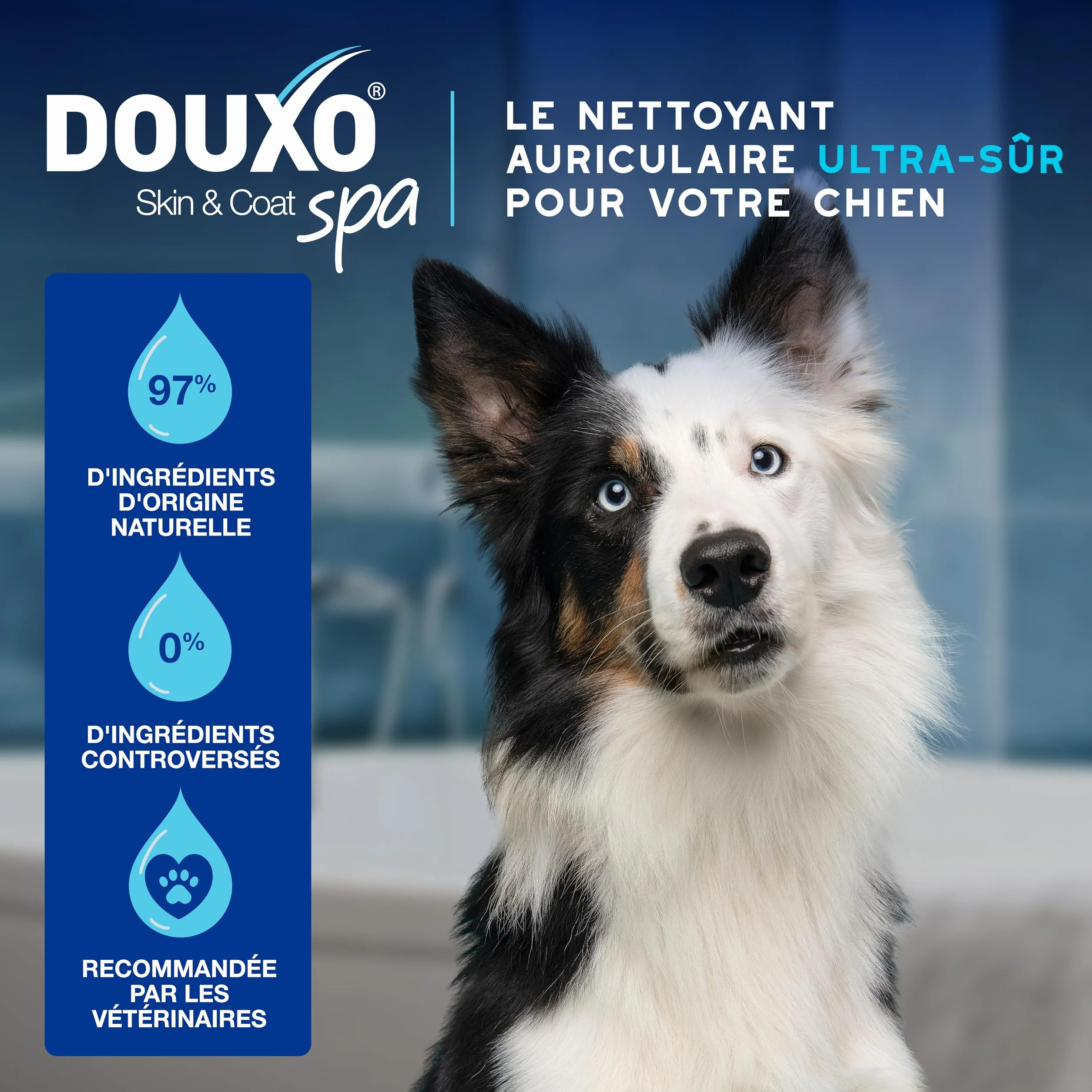 DOUXO Skin & Coat Spa - Ultra-Safe nettoyant auriculaire pour Chiens et Chats, 120 ML, nettoie l'oreille en Toute sécurité, Formule respectueuse de la Peau.