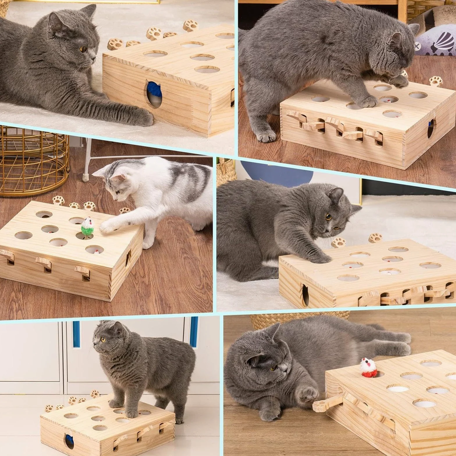 Jouet Pour Chat Chasse Souris Jouet interactif Pop Play avec la simulation | chat pour l'exercice et le actif des chats et des chatons d'intérieur