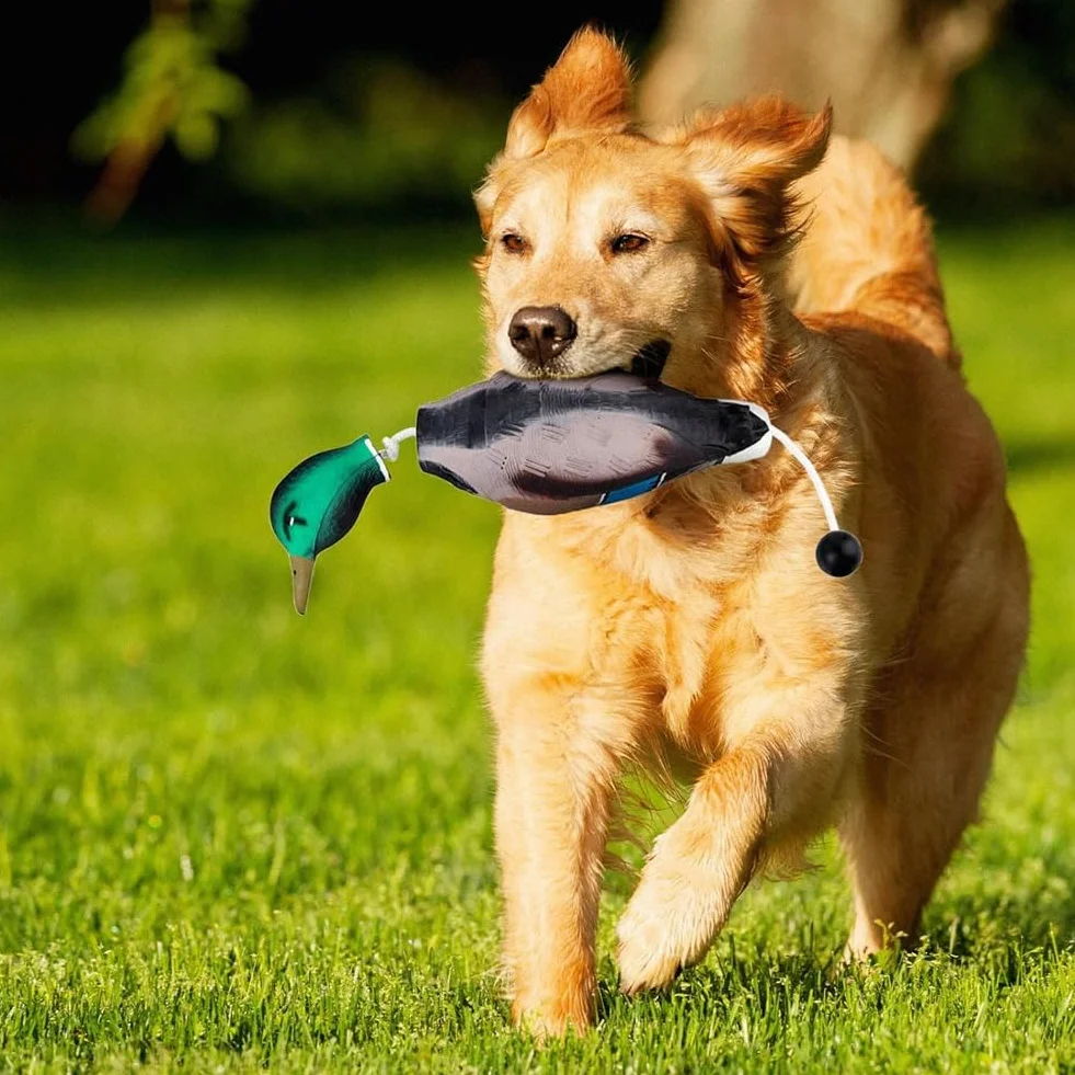 Pare-chocs canard imitation jouet d'entraînement pour chiots et chiens de chasse