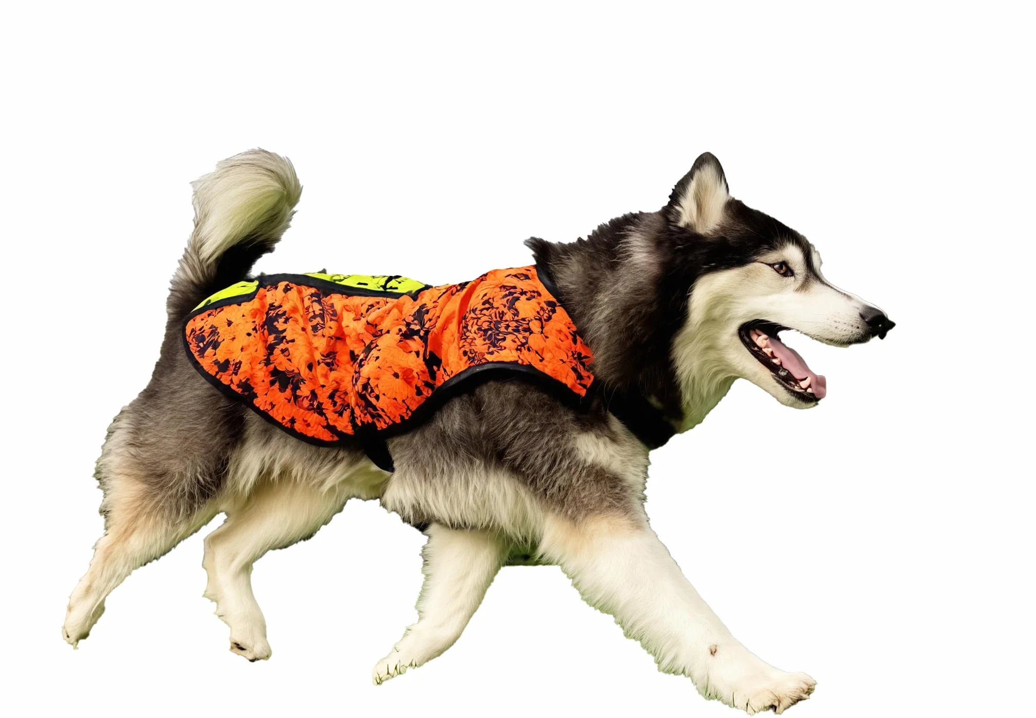 Gilet de Chasse Camouflage Haute Visibilité pour Chien