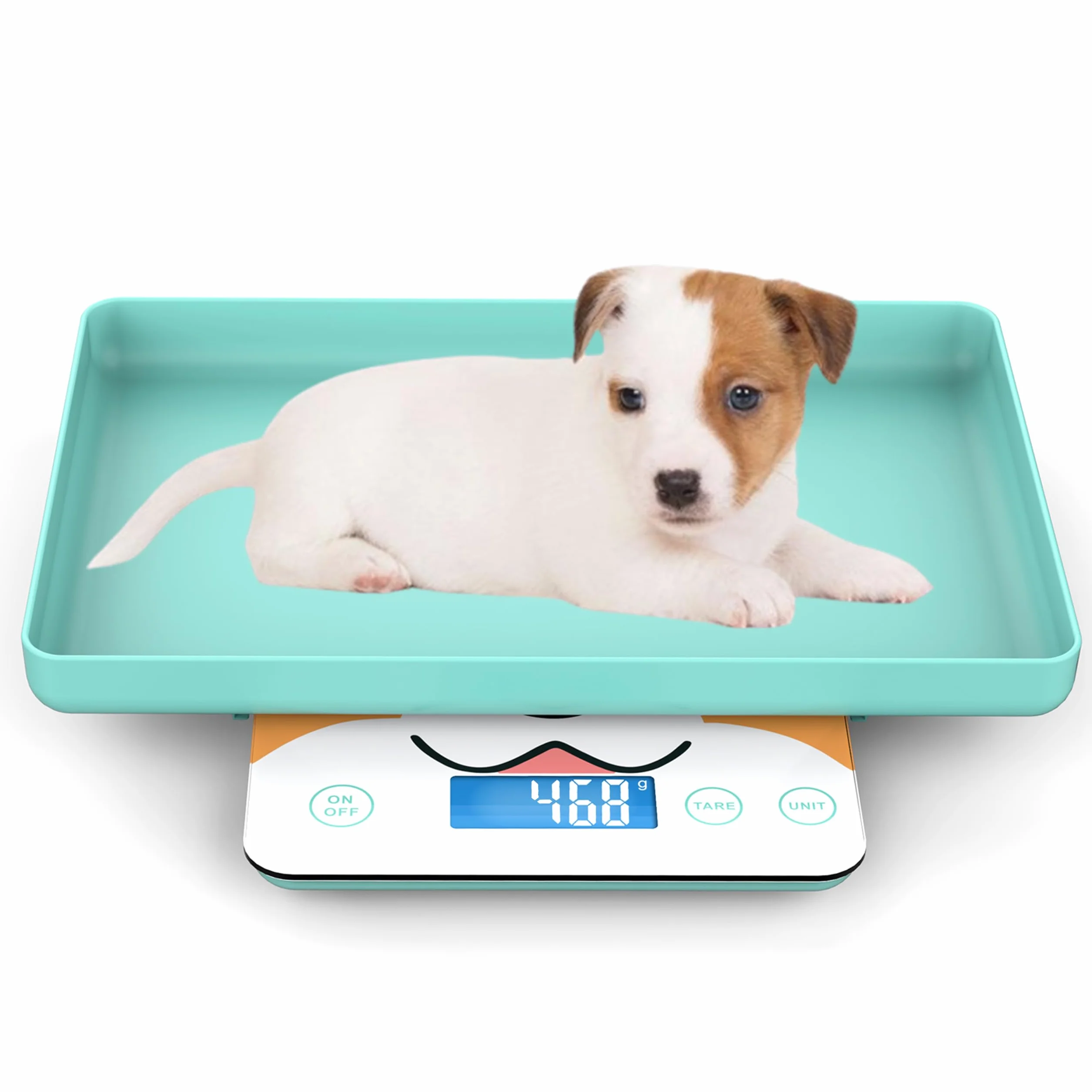 Digitale Mini-Haustierwaage für Neugeborene und Kleintiere, Präzisions-Grammwaage, 0,03 oz Genauigkeit, 33 lbs Kapazität, blau