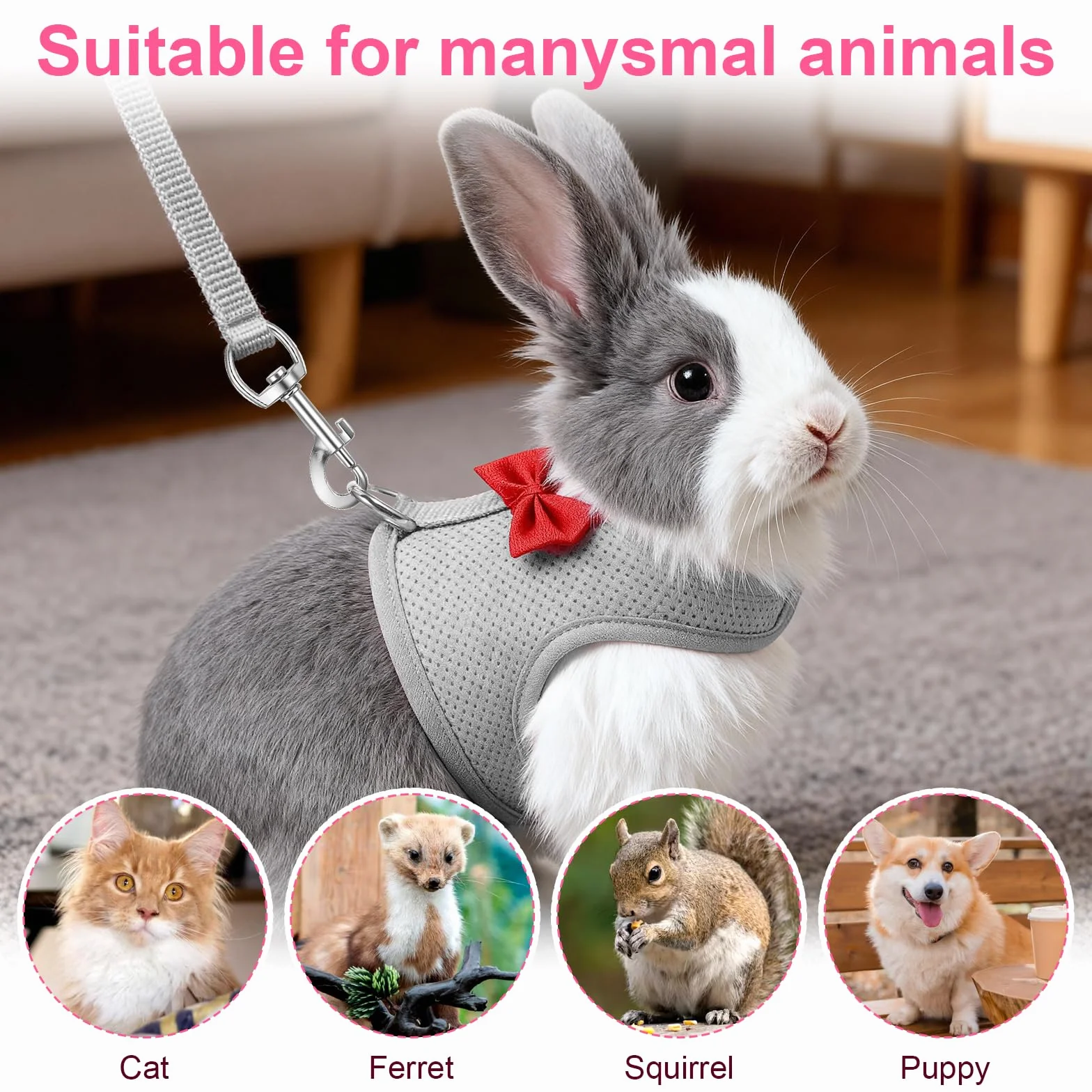 Harnais souple réglable avec laisse élastique pour lapin furet chaton chiot petits animaux gris