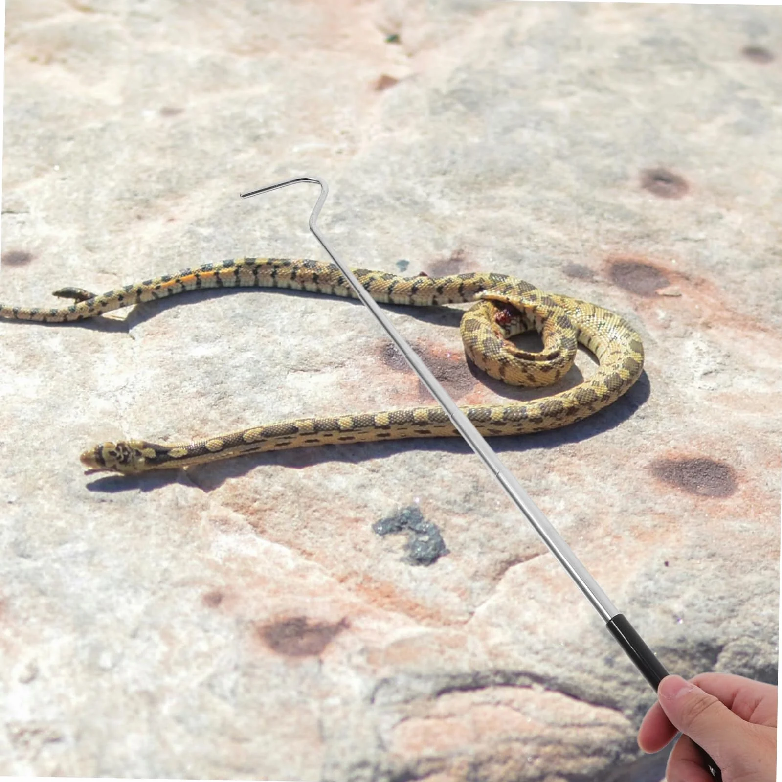 Garneck Crochet Rétractable pour Serpents Inoxydable Outil Ajustable Long de Capture Reptiles Portable pour Attraper Serpents Reptiles