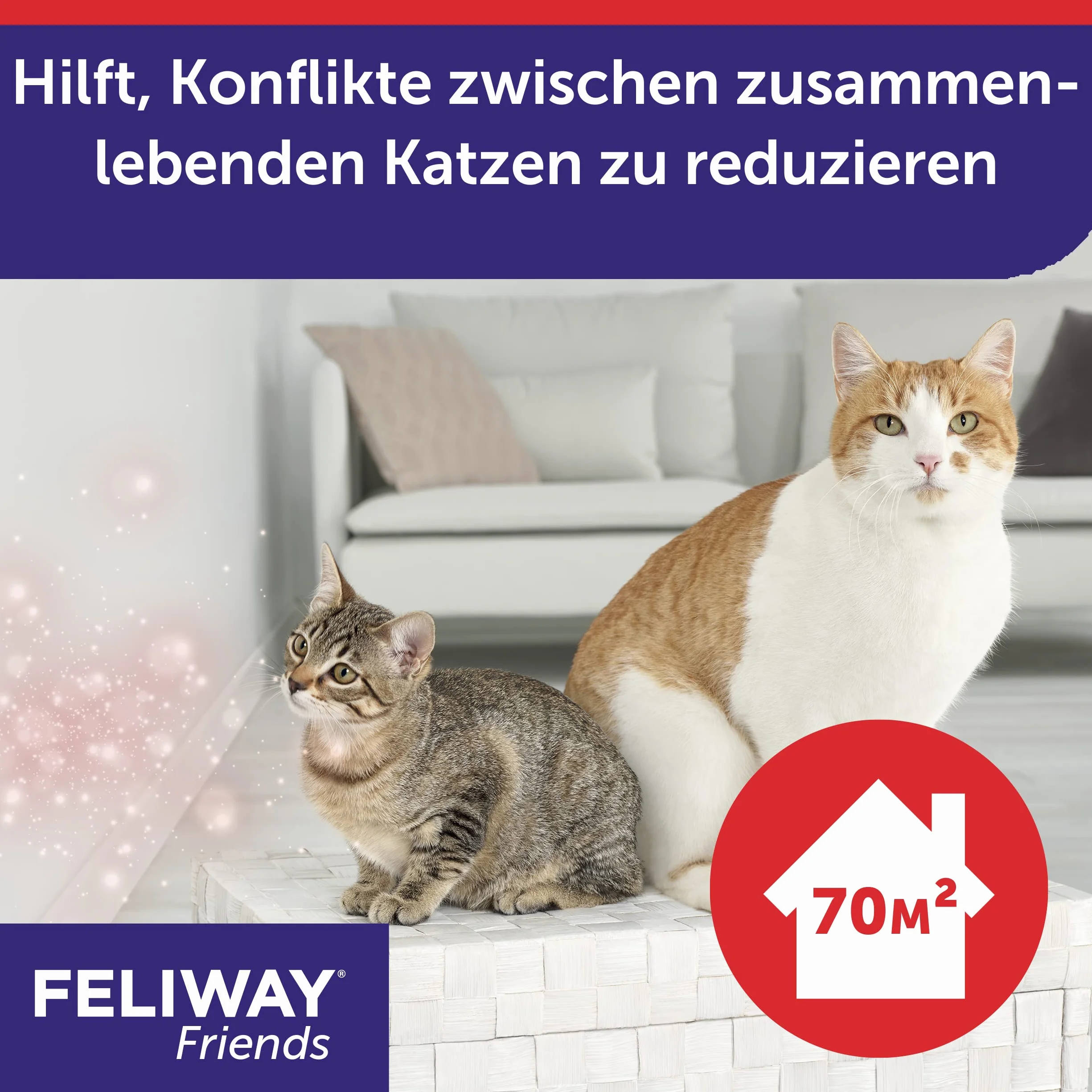 Feliway D89440L Friends 3 x 30 Jours 144 ML