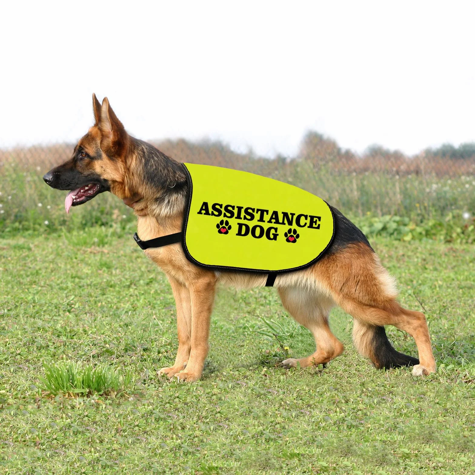 Veste chien d'assistance taille L avec slogan