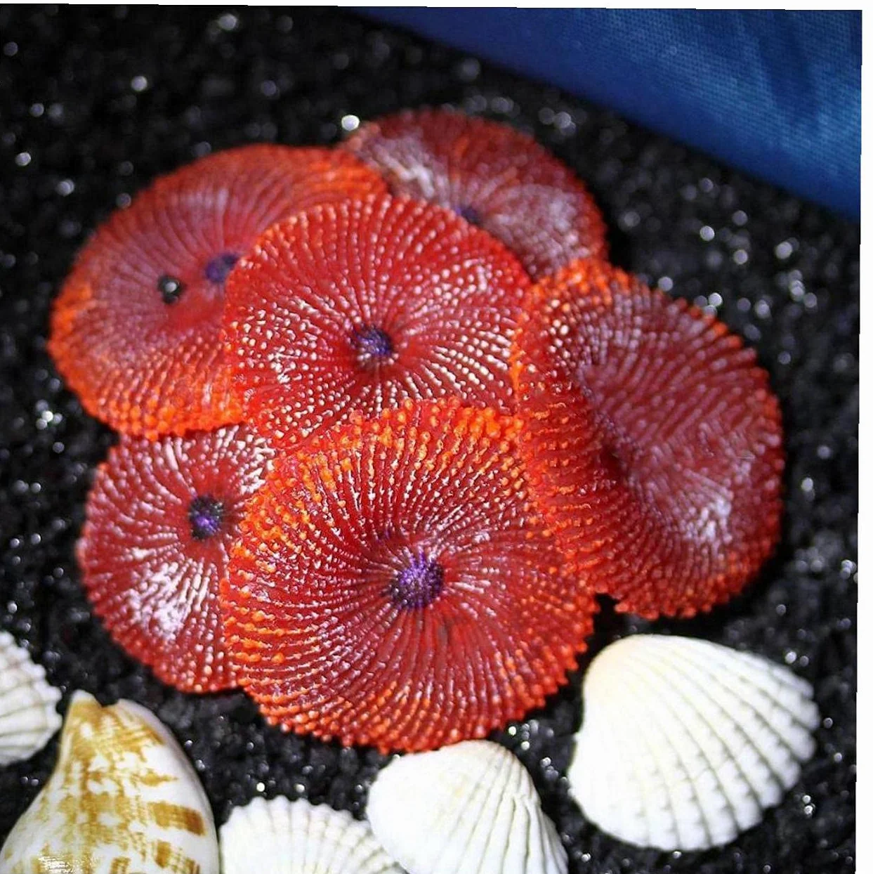 Aquarium Artificial Coral Sea Ornament Decoration Simulation Nontoxic