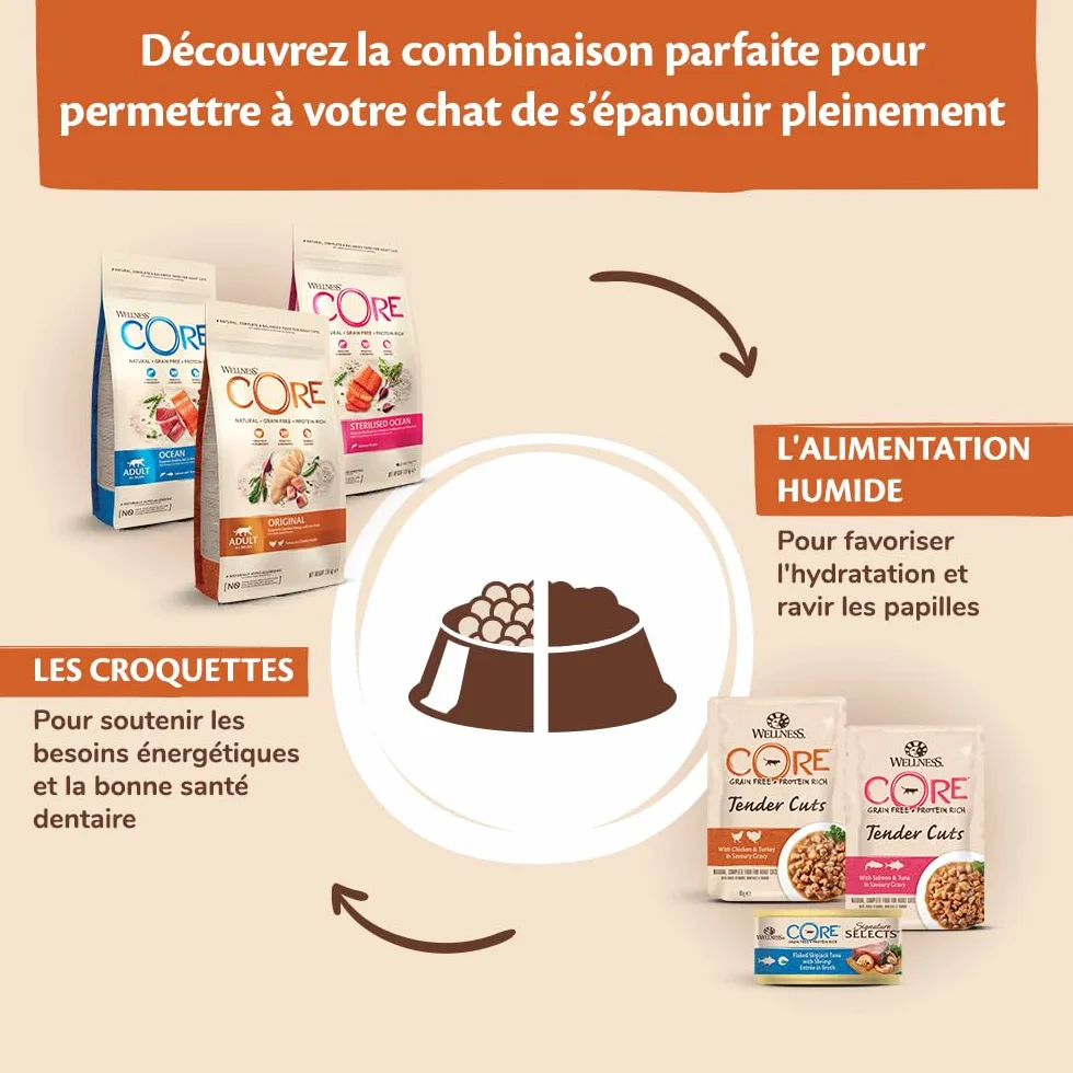 WELLNESS CORE Croquettes pour Chats Stérilisés Saumon sans Céréales 4 kg