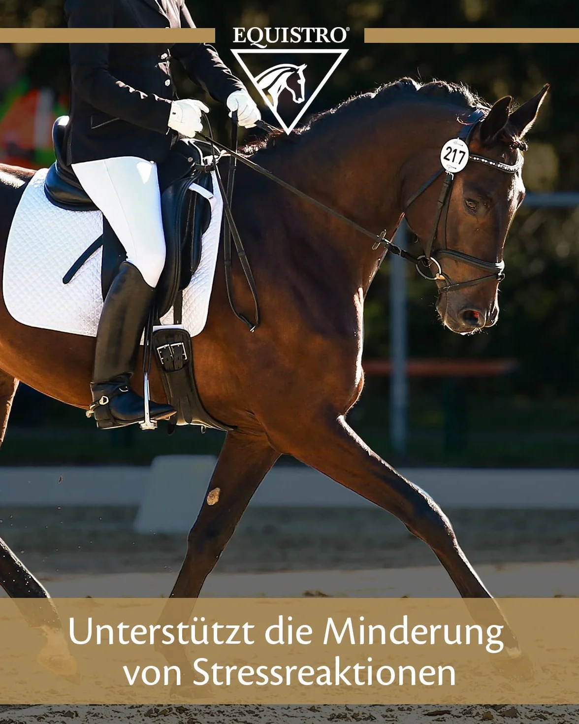EQUISTRO® Equiliser - Complément Alimentaire pour Chevaux avec magnésium hautement concentré - Peut réduire Les comportements indésirables - en Cas de Signes d'hyperirritation - Qualité supérieure -