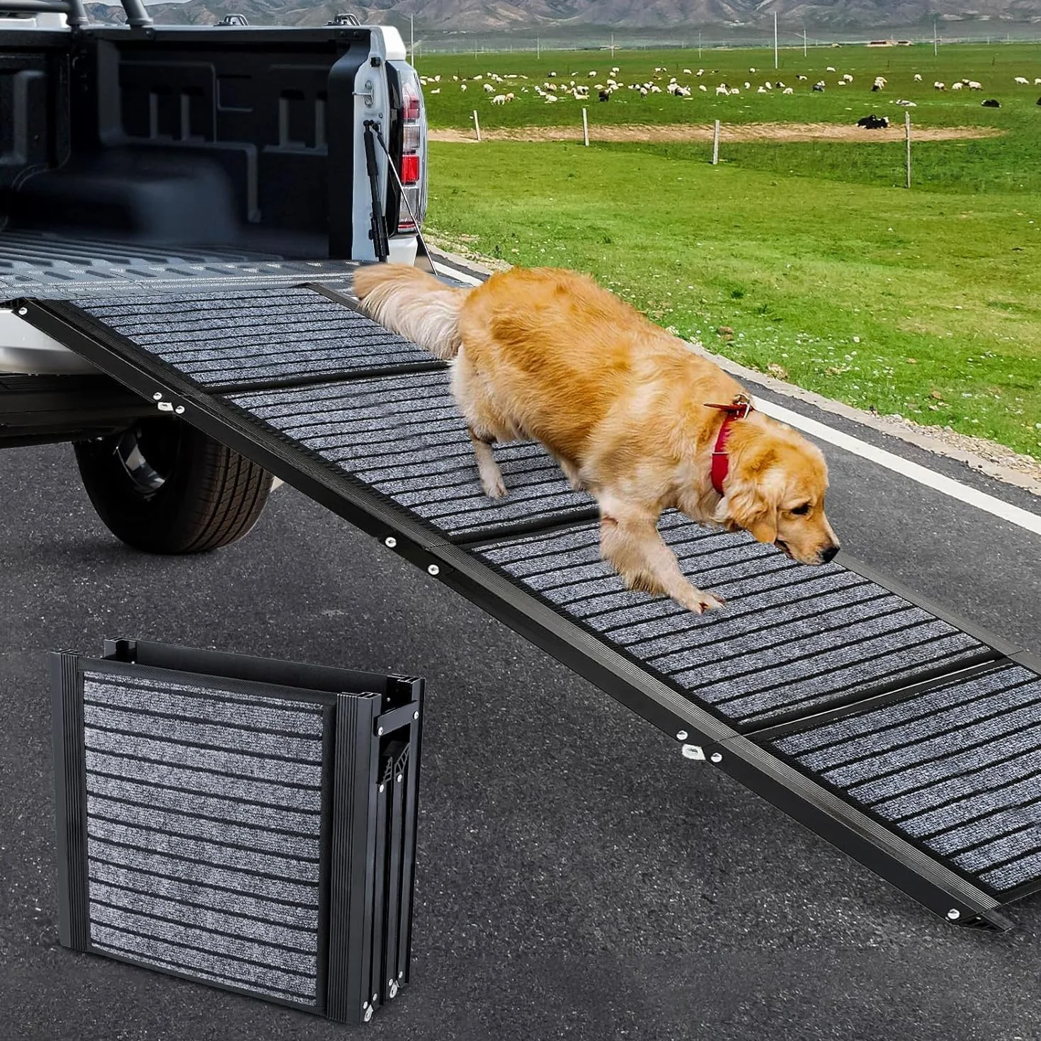 Rampe pliable pour chien 180 cm x 50 cm avec tapis antidérapant extérieur SUV camion
