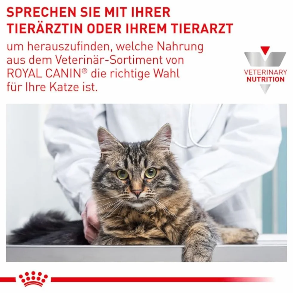 Royal Canin Expert Mature Consult Balance | 3,5 kg | Aliment complet pour Chats | À partir de 7 ans | Chats âgés stérilisés ou ayant tendance à prendre du poids