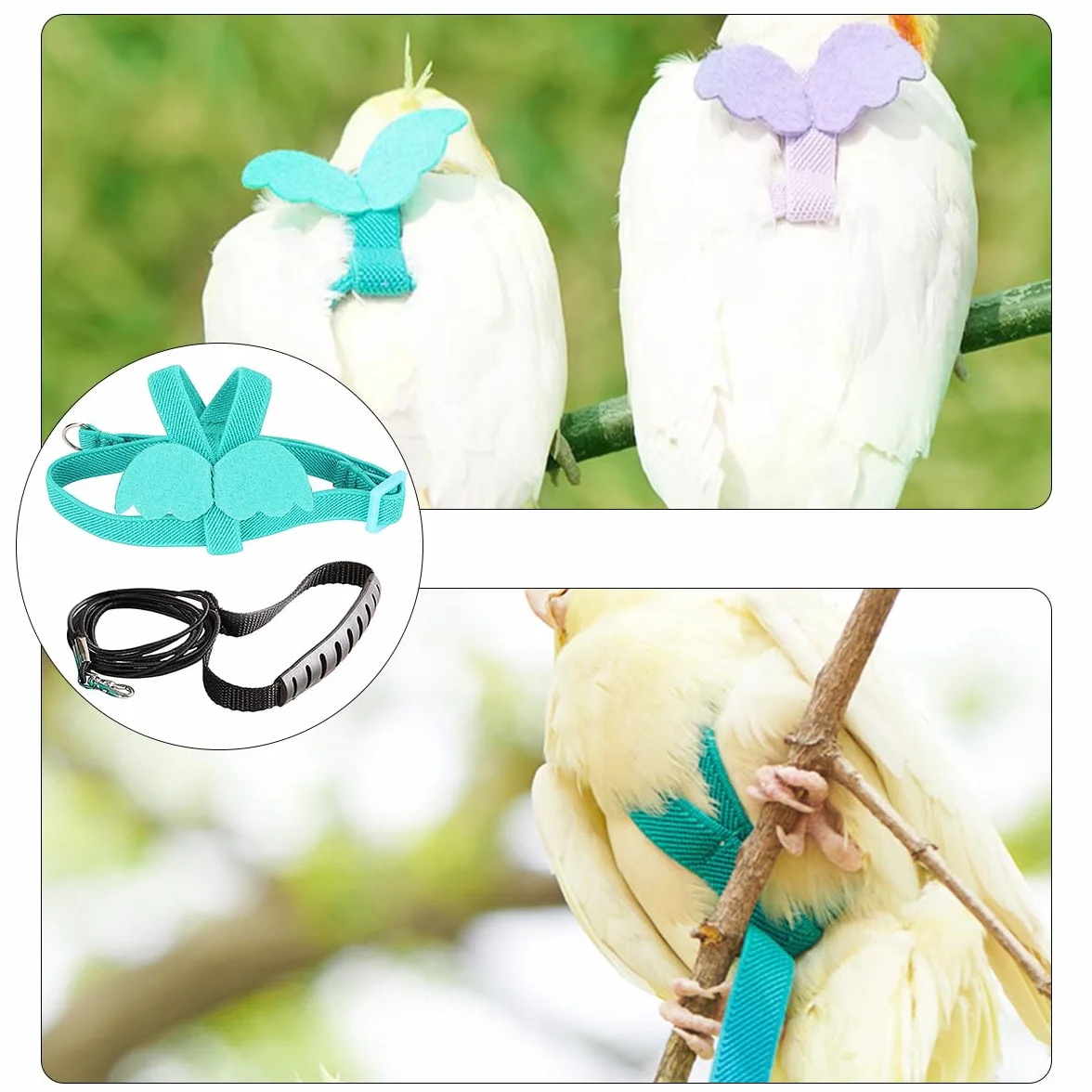 Kit de Harnais et Laisse pour Oiseaux en Plein Air, Harnais réglable pour Animaux de Compagnie (Bleu Clair)