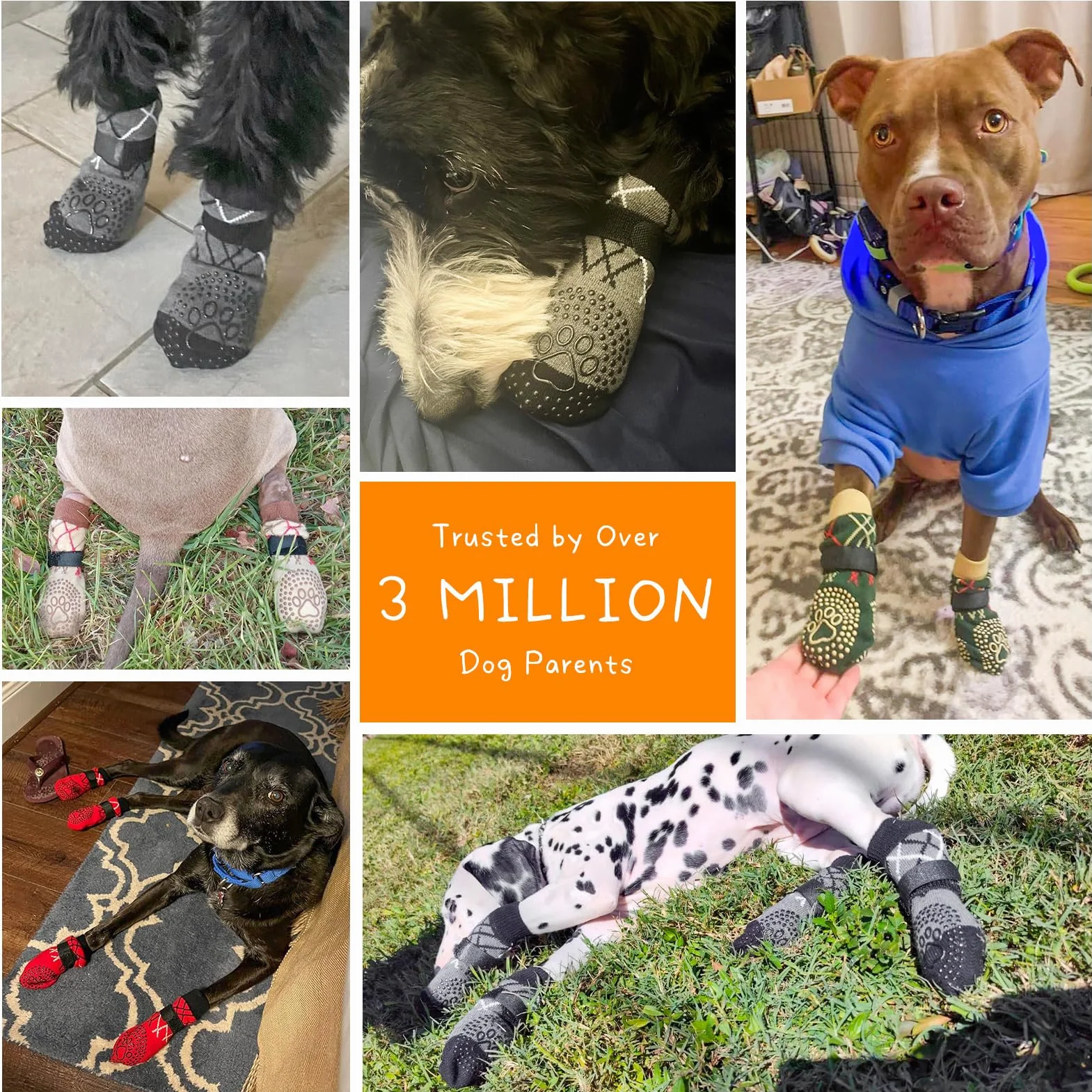 BEAUTYZOO Lot de 6 paires de chaussettes pour chien antidérapantes pour sols en bois dur