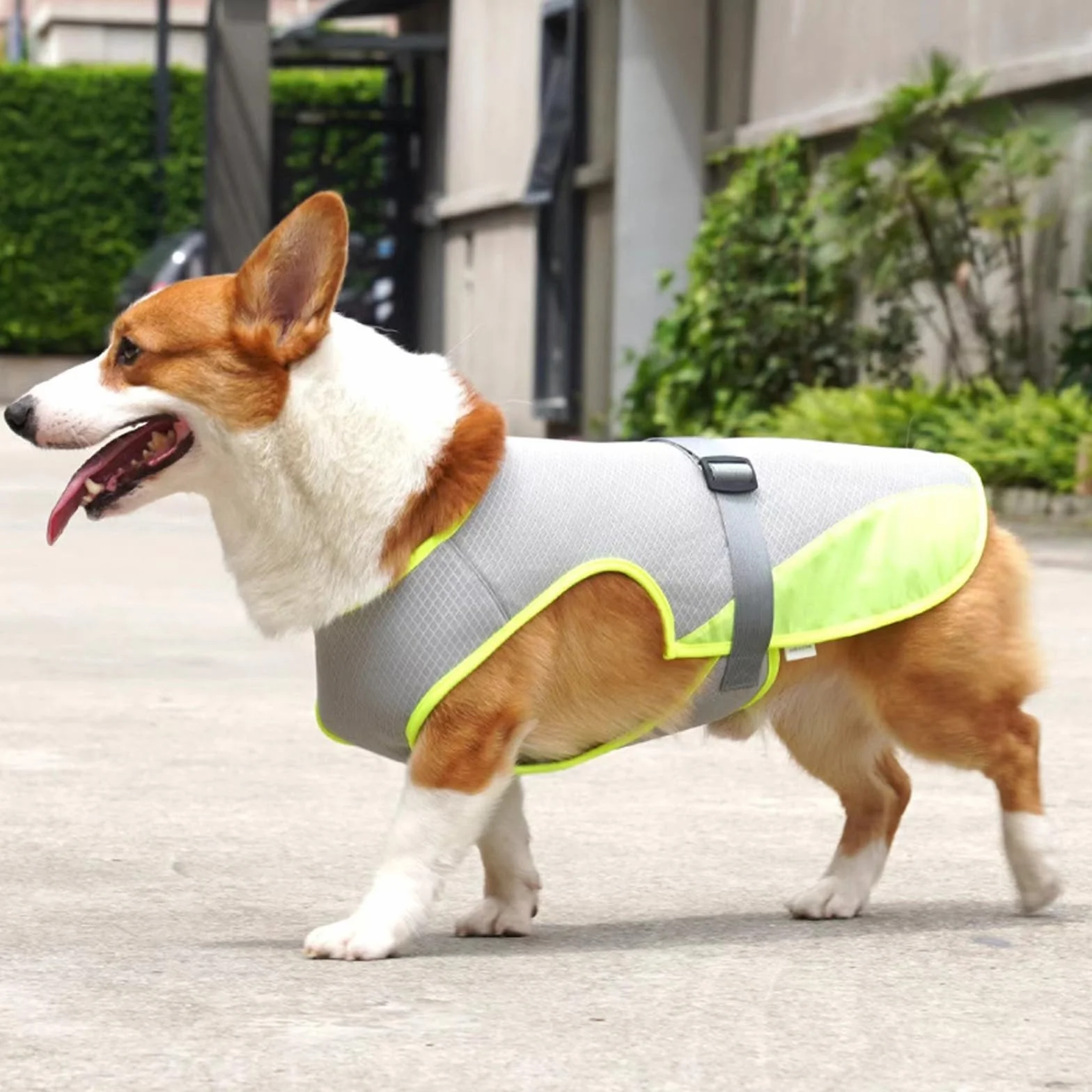 Gilet de Refroidissement pour Chien Rafraîchissant Manteau Protection Contre Le Soleil Taille L