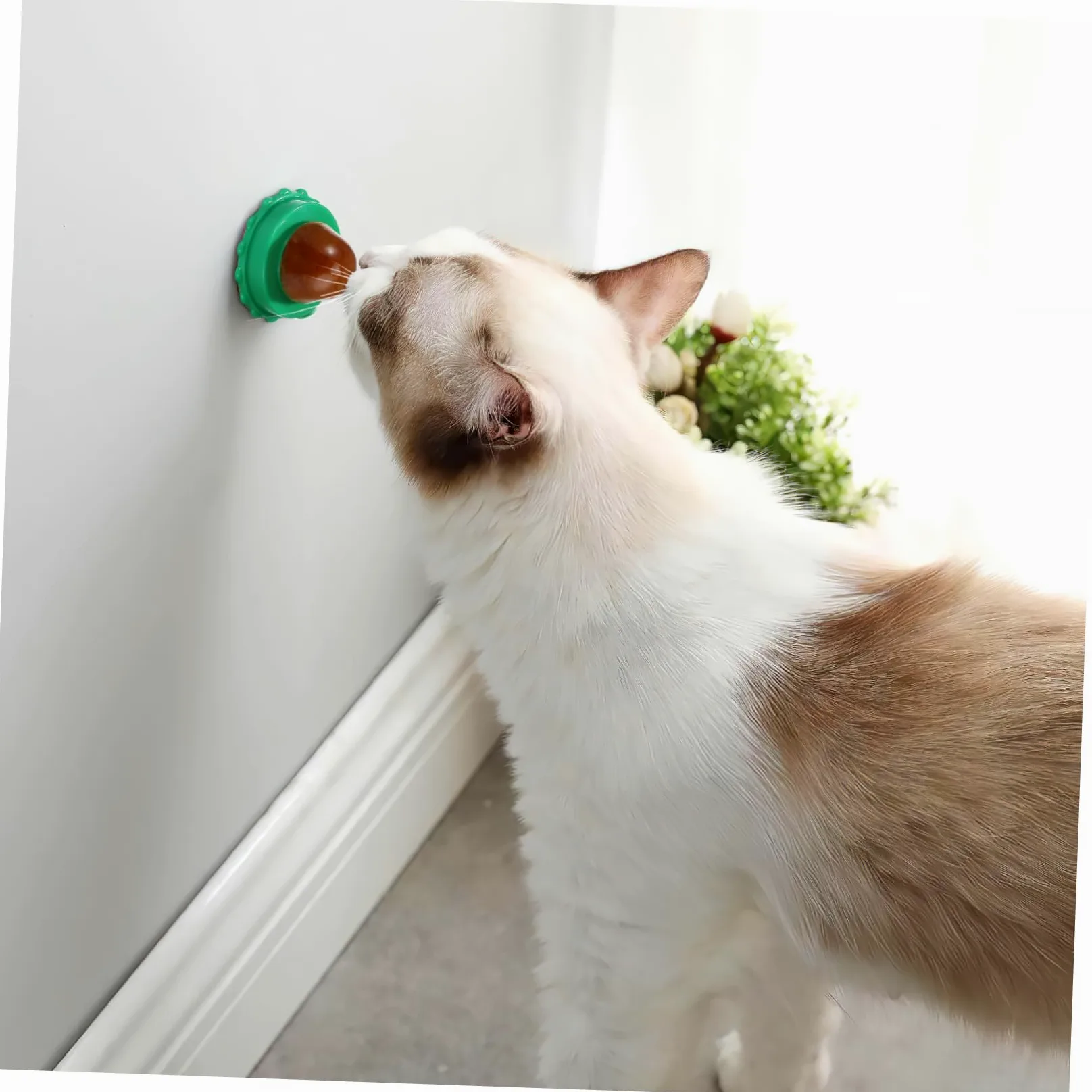 POPETPOP Sucettes à l'herbe à Chat 10 Pièces pour Chat Vert, Friandises Vitaminées Naturelles pour Augmenter L'hydratation et Améliorer Problèmes Urinaires