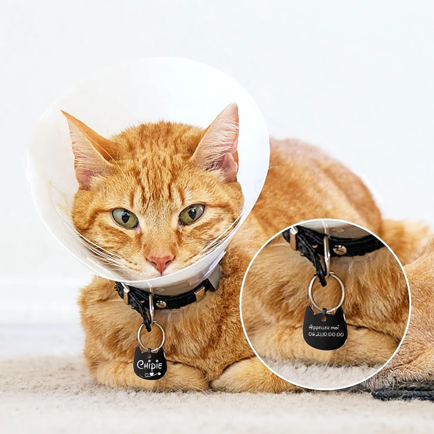 Médaille chat personnalisable acier inoxydable gravure laser France pendentif porte adresse collier