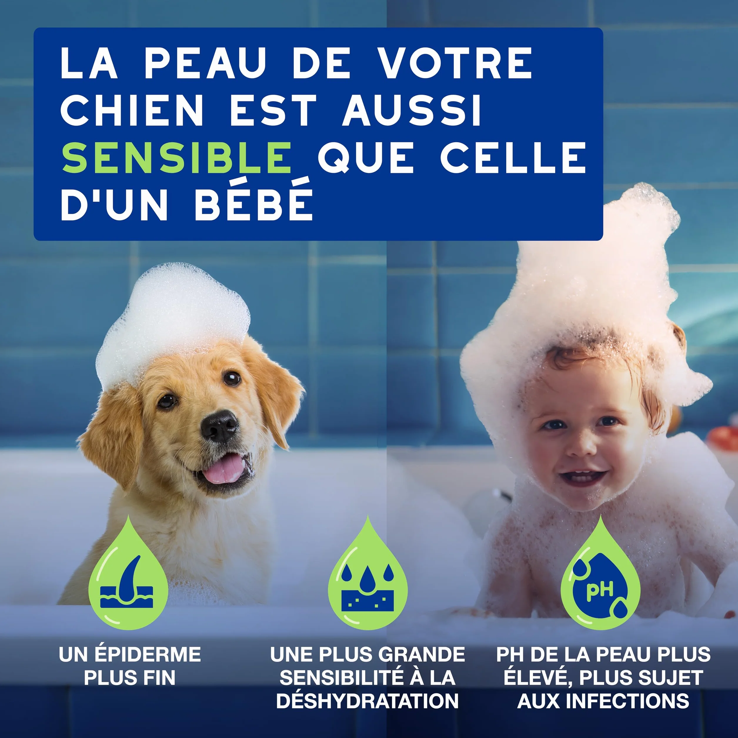 DOUXO Skin & Coat Spa - Ultra-Safe Shampoing pour Chiot, 250mL, Nettoie et Hydrate la Peau Profondeur, Laisse Le Pelage Doux et éclatant, Formule respectueuse de la Peau.