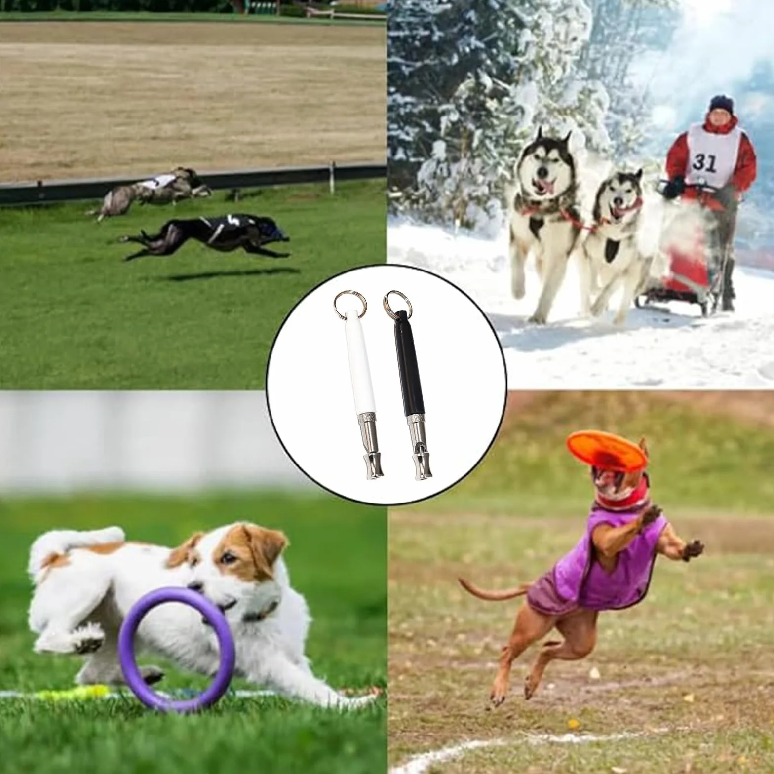 Sifflet Ultrason Chien Anti Aboiement 2 Pièces avec Lanière Dressage Canin
