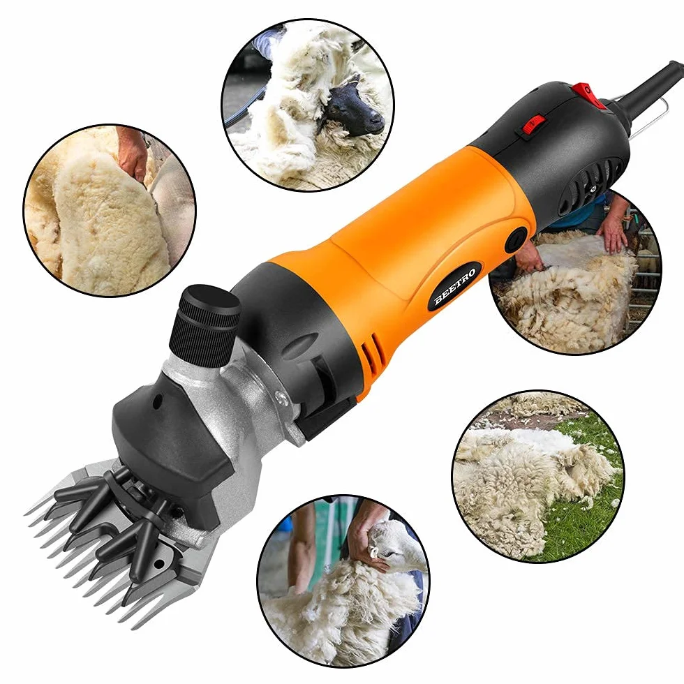 BEETRO Tondeuse électrique professionnelle 500 W 6 vitesses pour moutons alpagas chèvres