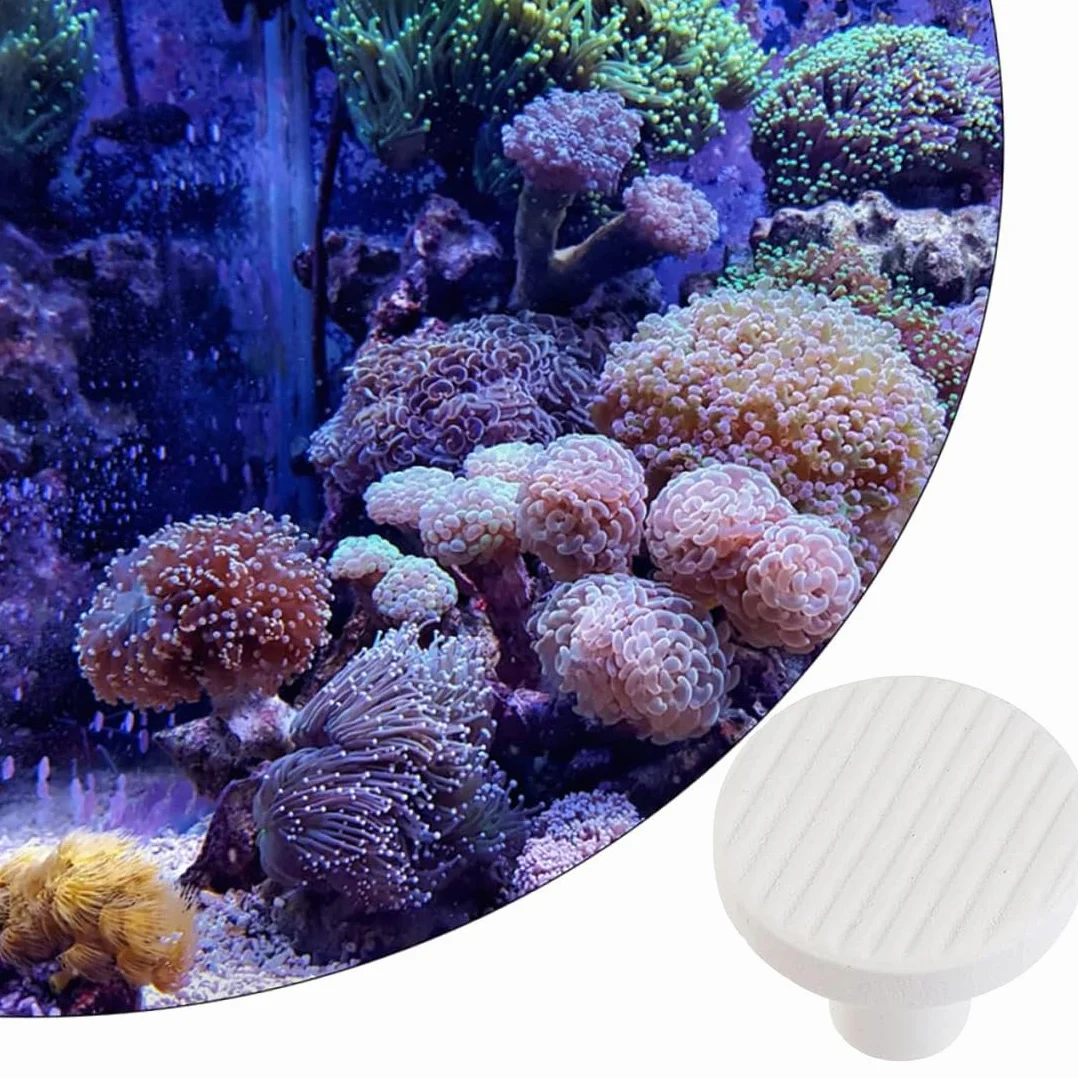 10 Pièces Corail Frag Plug Céramique Frag Station Aquarium Récif Base Support 2.3Cm