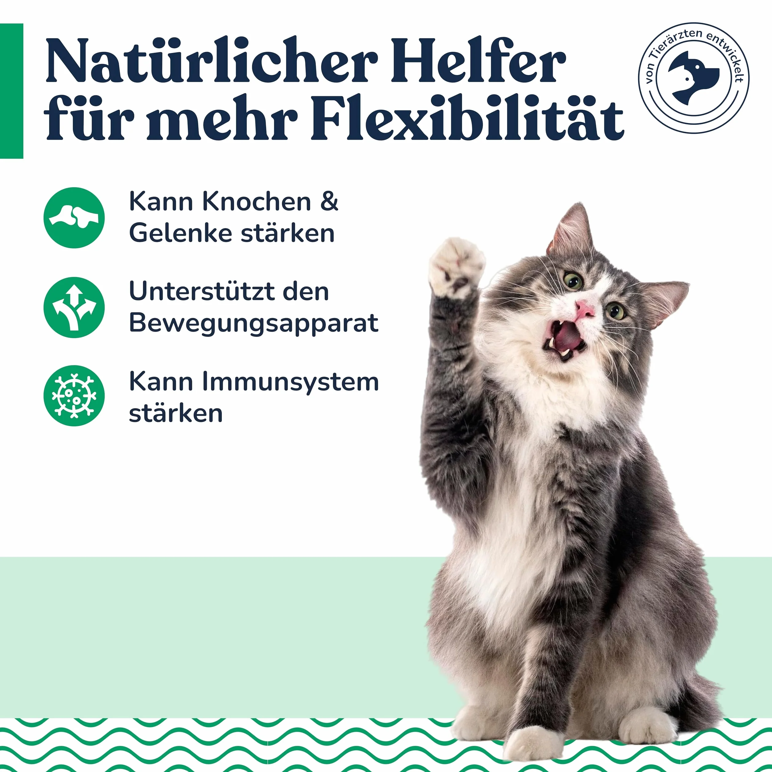 Felmo Pâte Osseuse et Articulaire pour Chats 100 g Flexibilité Liberté de Mouvement