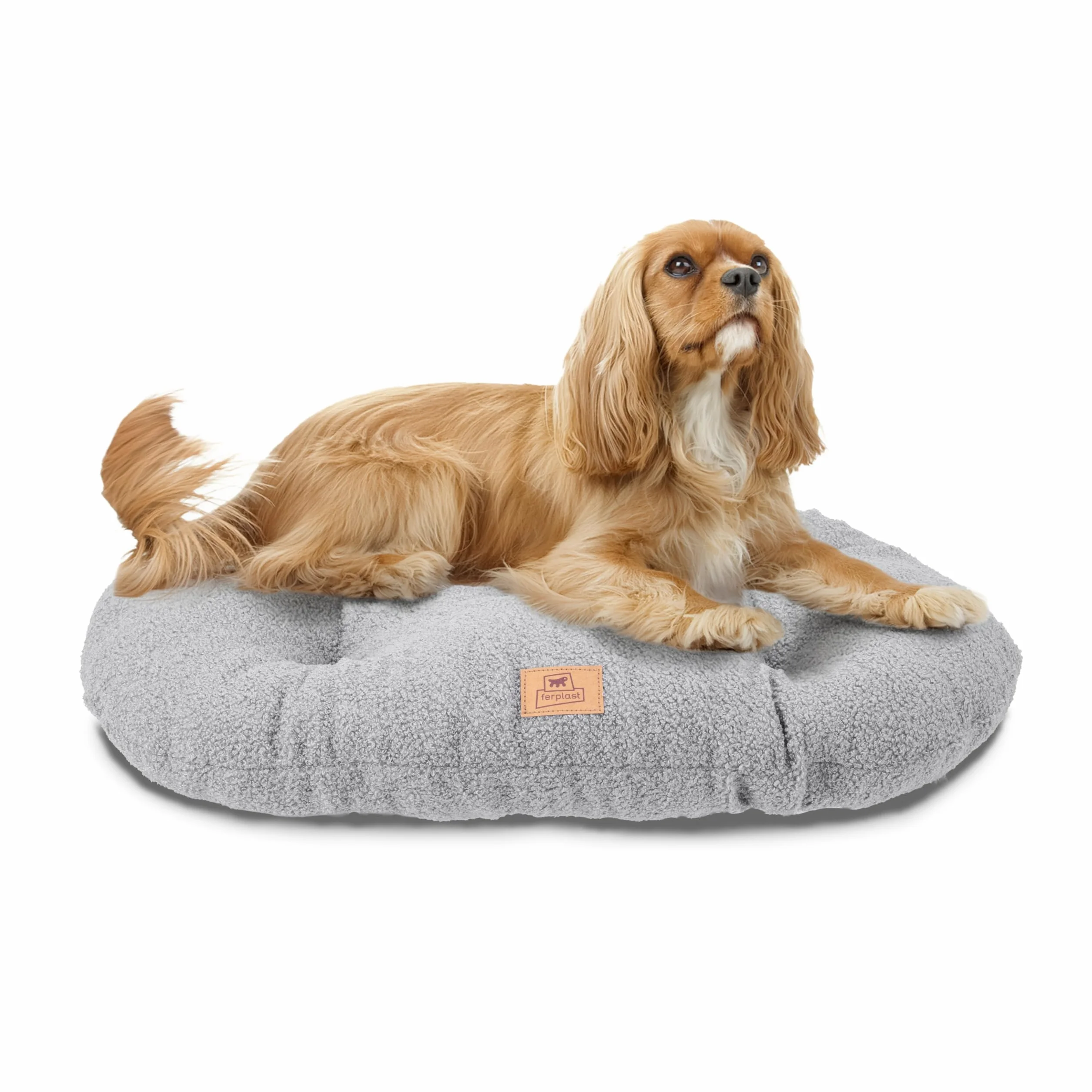 Ferplast Coussin pour Chien Taille Moyenne Panier pour Chat Tissu bouclé Lavable 65 x 42 x 4 cm Gris