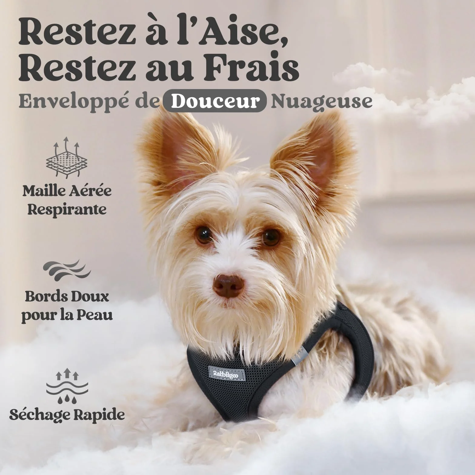 Rabbitgoo Harnais Chien Petite Taille Noir S, Harnais Respirant en Maille Souple Réfléchissant pour Petit Chien Marche Course