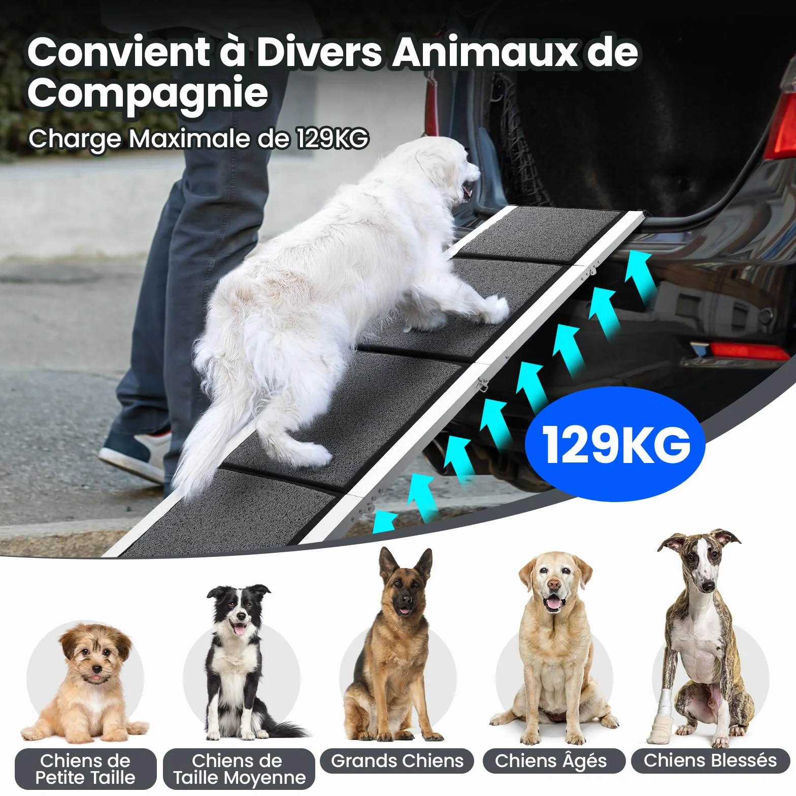 Rampe de Voiture Pliable pour Chien 170 x 44cm, Rampe Portable d'Accès Chien avec Surface Antidérapante, Cadre en Aluminium, Dog Ramp pour Camion Lit Voiture SUV, Légère et Facile à Ranger