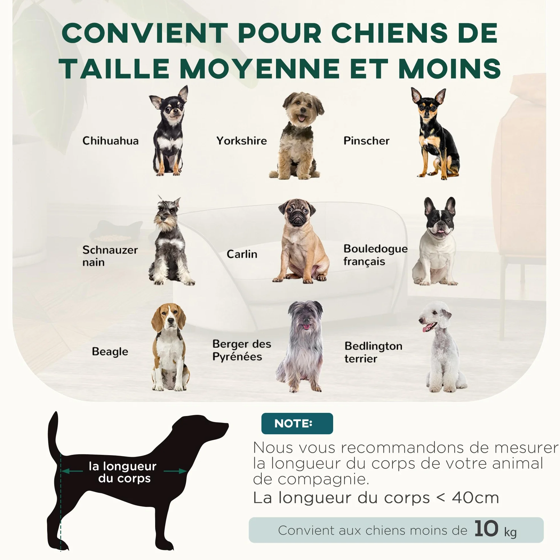 PawHut Canapé pour Chien en Velours néerlandais, Coussin Doux, Housse Amovible et Lavable, pour Petite à Moyenne Taille, Gris