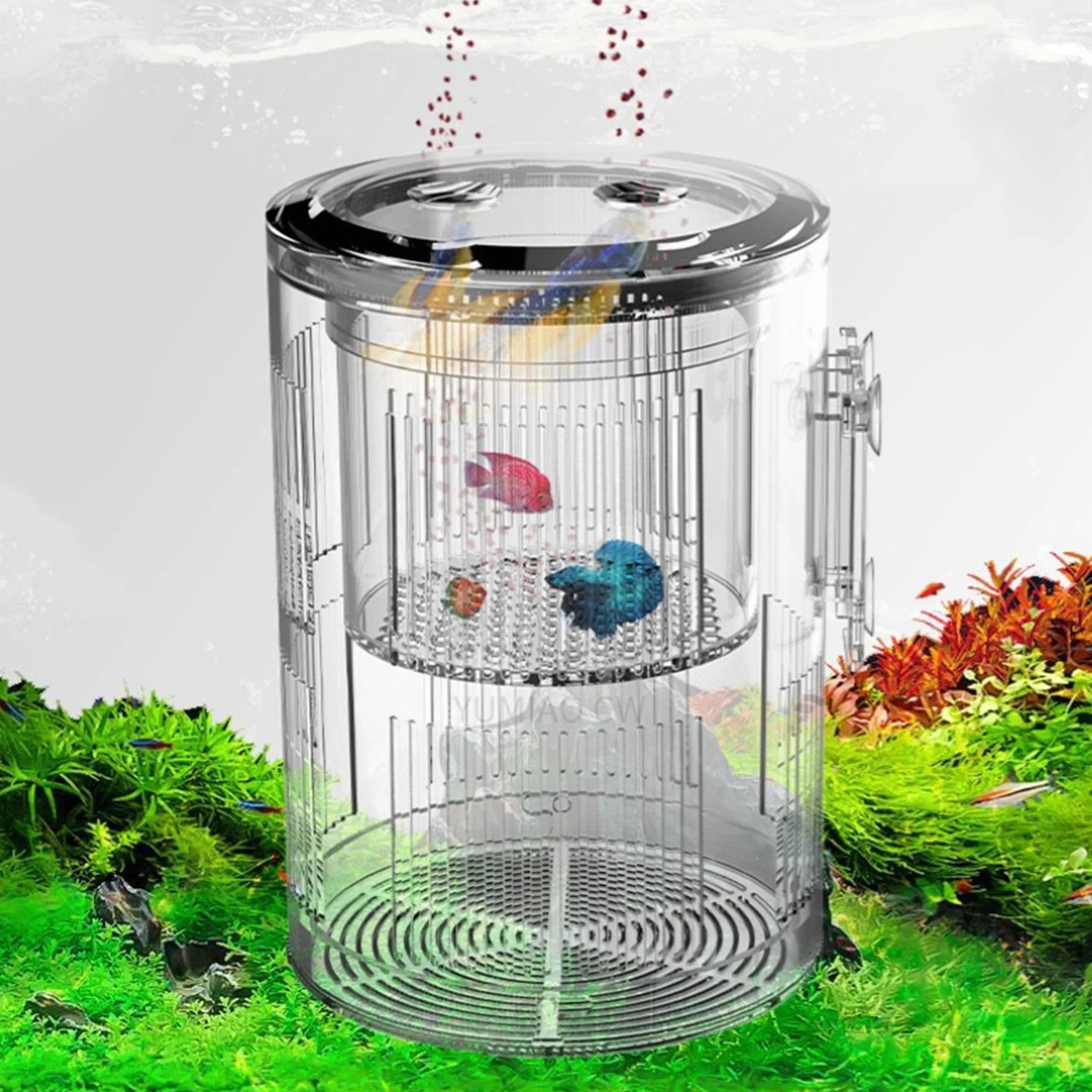 Forme Cylindrique Boîte D'éLevage pour Aquarium, Boîte D'éLevage pour Poissons D'Aquarium, Double Couche, Transparent, Incubateurs avec Ventouses, pour Poissons Agressifs Blessés