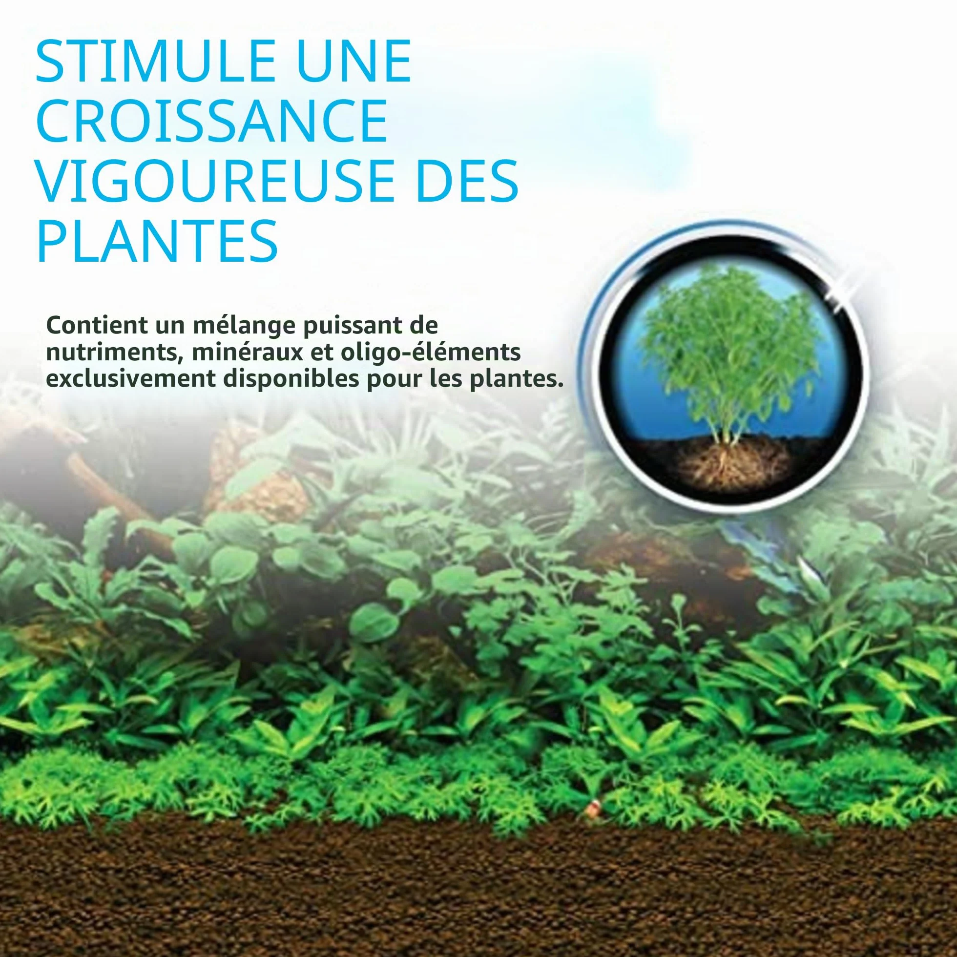 Fluval Bio Stratum Substrat volcanique pour Aquarium planté, 2 kg