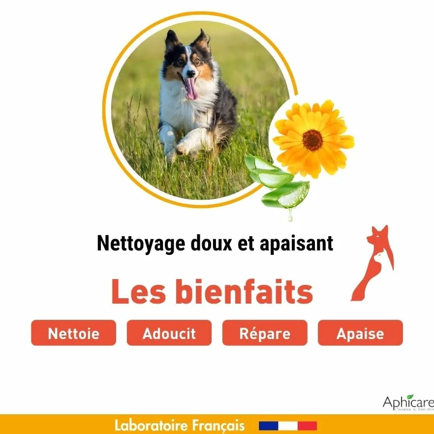 Shampooing Doux sans rinçage 200 ML Chien Chat Apaisant Hydratant 97% d’Origine Naturelle Fabrication française