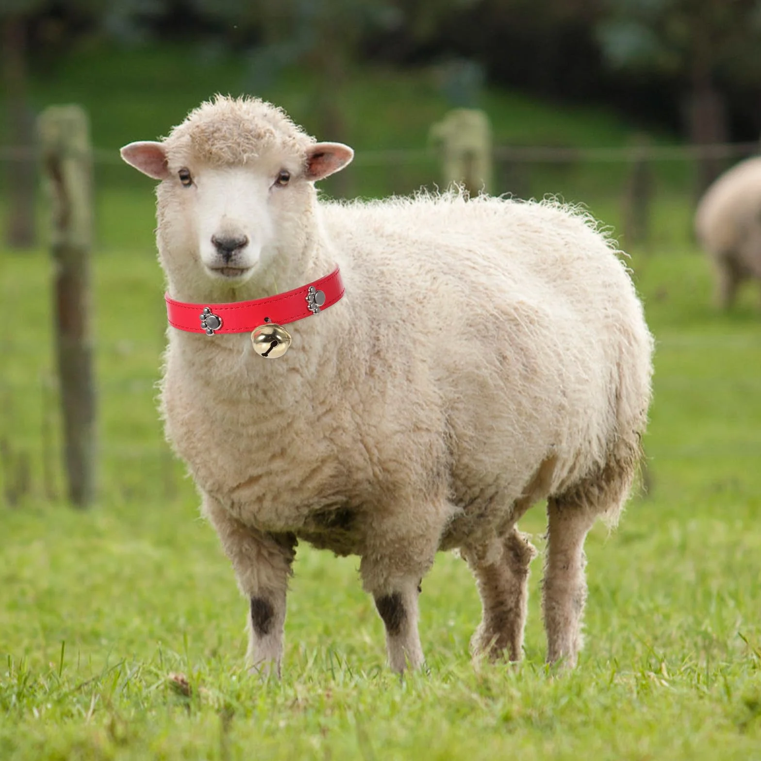 Gatuida Lot de 4 Colliers en PU Réglables pour Bétail avec Clochettes, Design à Trous pour Ajustement Facile, Adaptés pour Vaches et Chèvres en Élevage