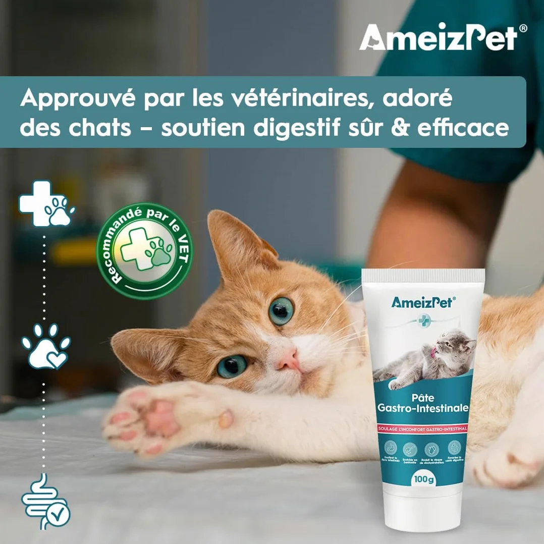 AmeizPet Pâte Gastro Intestinale pour Chats, 100 g – Complément Digestif pour la Santé Intestinale