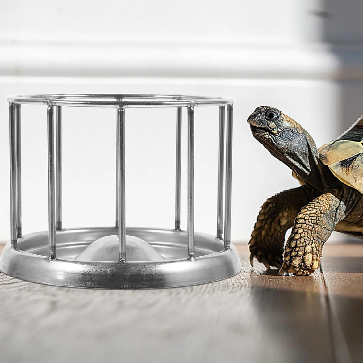 Artibetter Gamelle Acier Inoxydable Argenté Mangeoire Reptile Tortue Terrestre