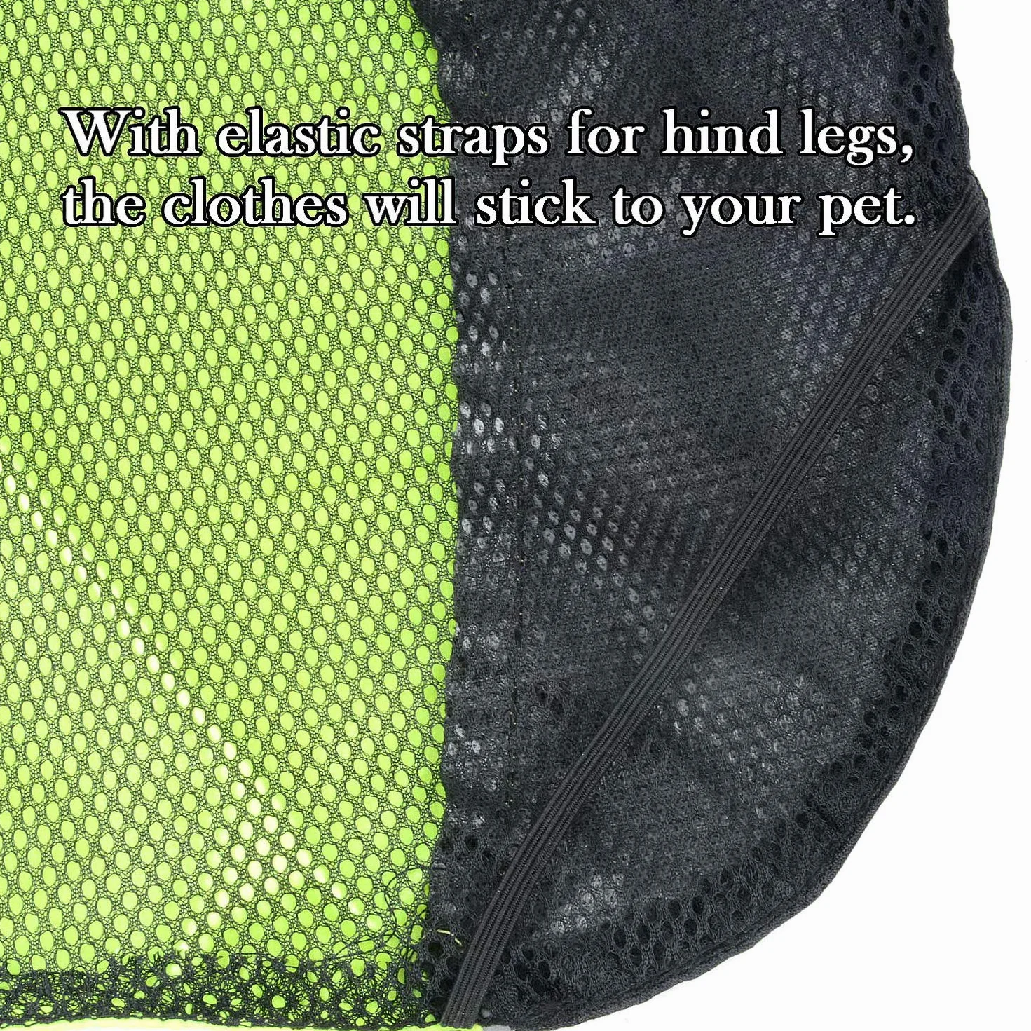 Manteau Imperméable Réfléchissant pour Chien Chat Veste Sécurité Coupe-Vent Légère Vert M