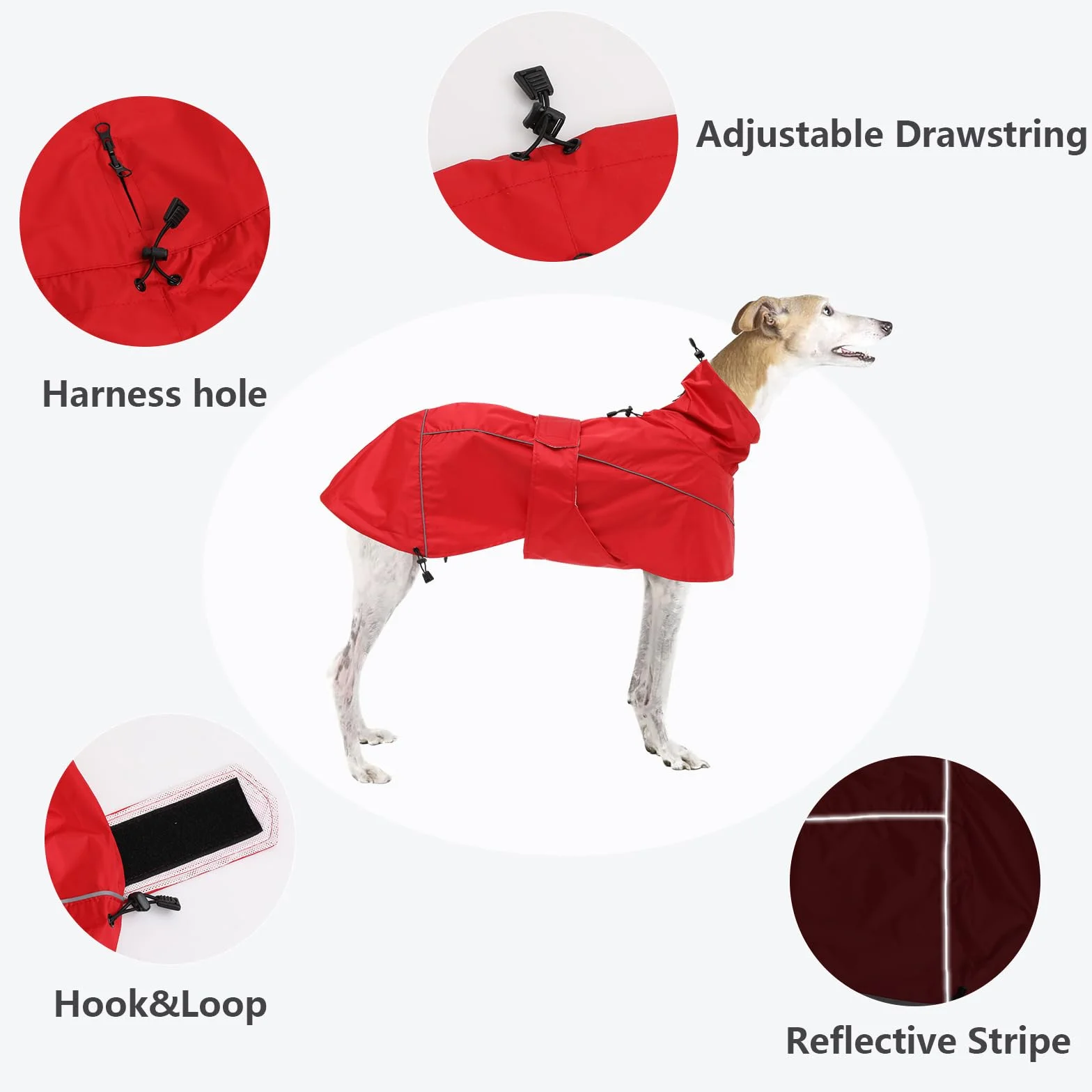 Manteau de Pluie MOREZI Greyhound, imperméable/imperméable, avec Cordon de Serrage réglable et Ceinture pour protéger l'abdomen, adapté aux Chiens de Taille Moyenne et Grande-Rouge-M