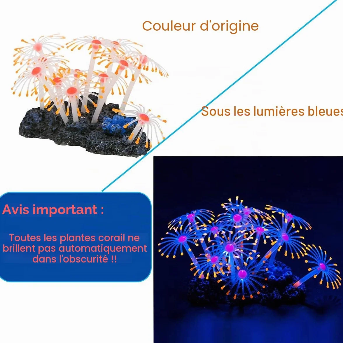 Podazz Lot de 4 Décorations Fluorescentes pour Aquarium, Corail Artificiel et Anémone en Silicone