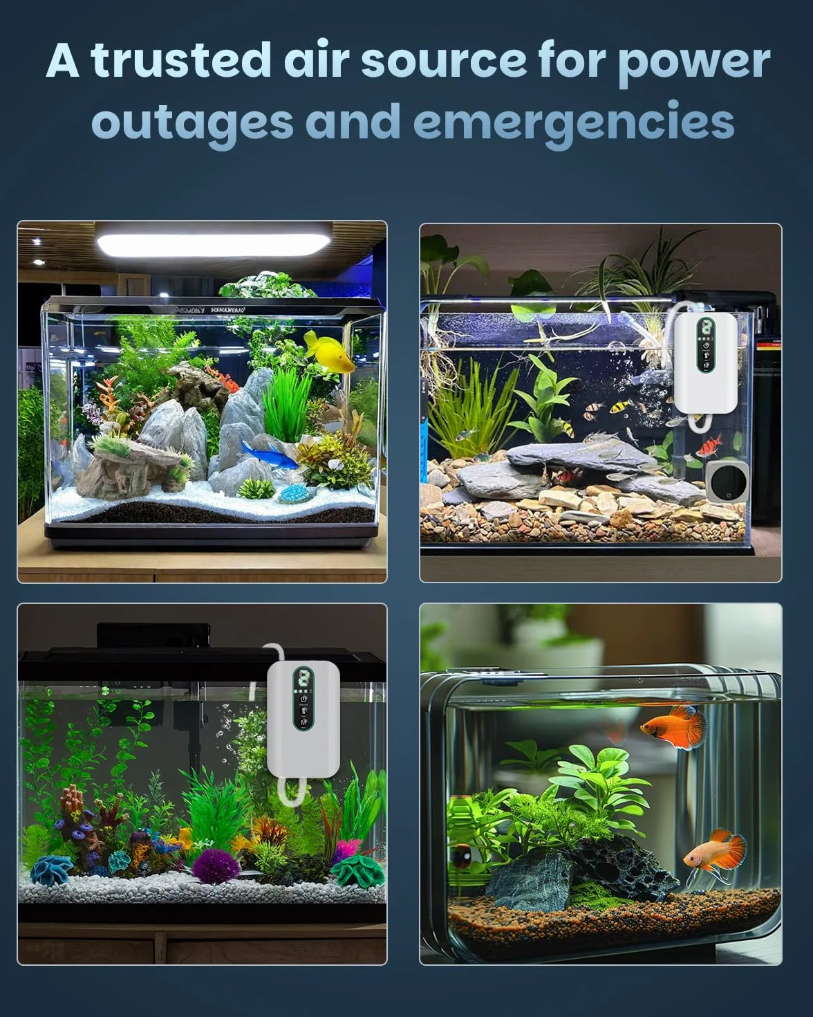 Pawfly Pompe à Air d'Aquarium Rechargeable 19-380 L Aérateur Portable Ajustable Pêche Transport