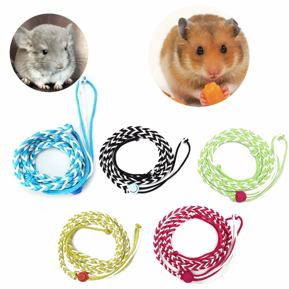 Harnais réglable pour hamster, laisse pour petits animaux de compagnie coloré