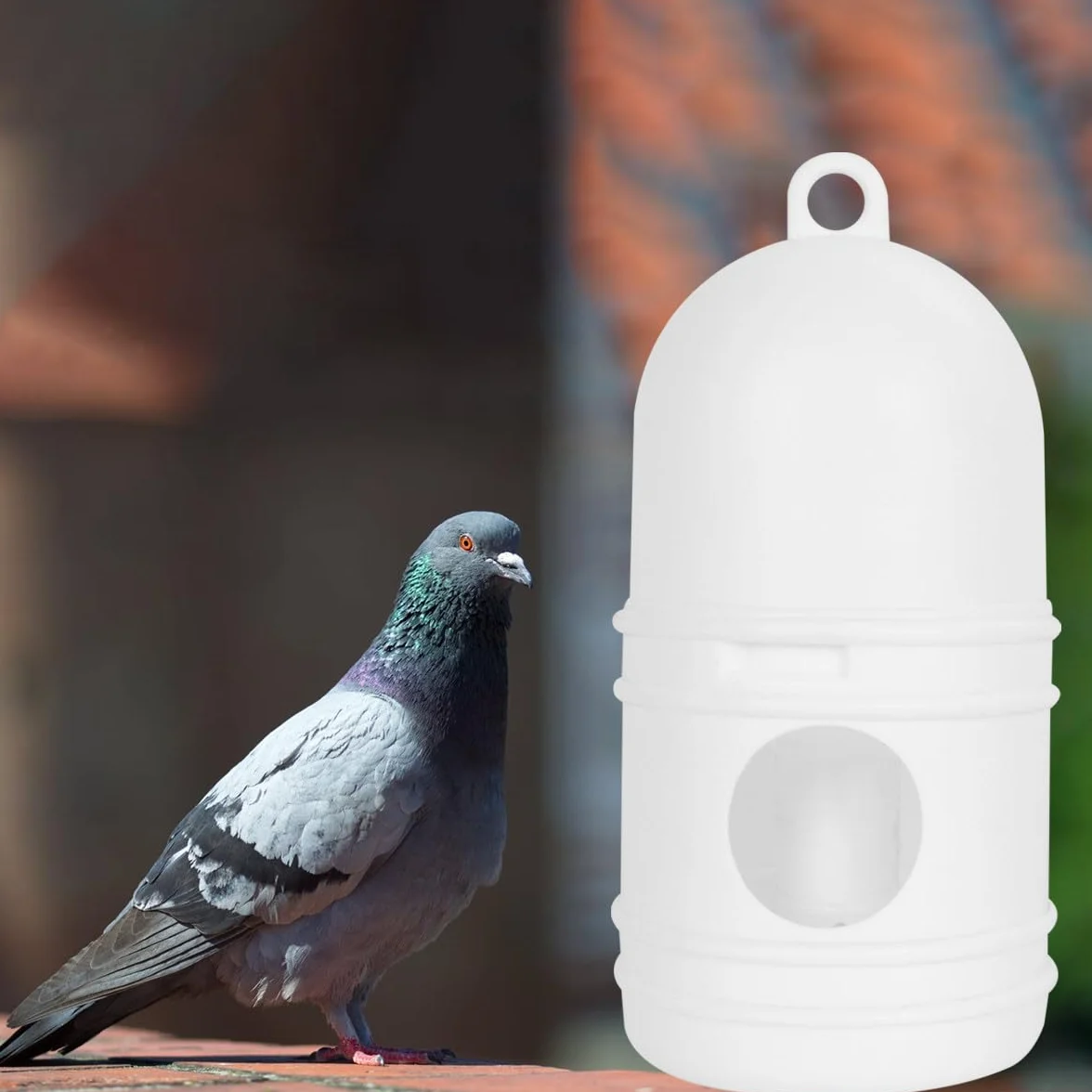 Abreuvoir pour Pigeons 1 L Plastique Blanc Mangeoire Oiseaux Faisans Distributeur d'Eau Intérieur Extérieur