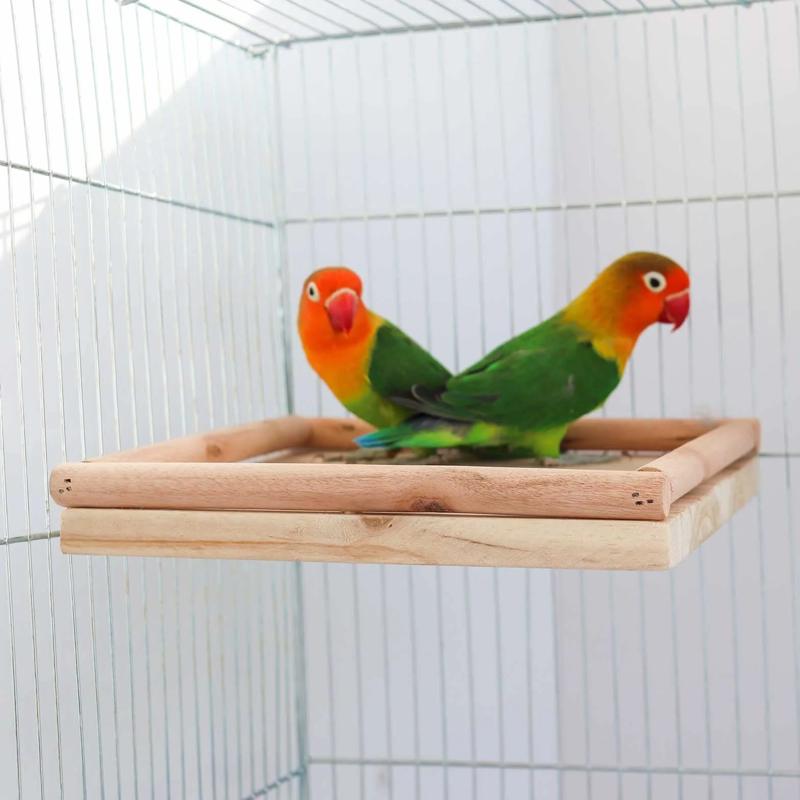 Perchoir en Bois Naturel pour Oiseaux 20×20 cm - Plateforme pour Perroquets, Accessoire Cage