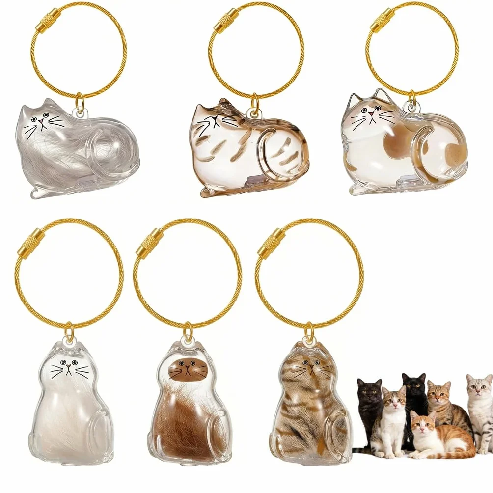 Lot de 6 porte-clés en poils de chat, boîte de rangement transparente, cadeau commémoratif créatif