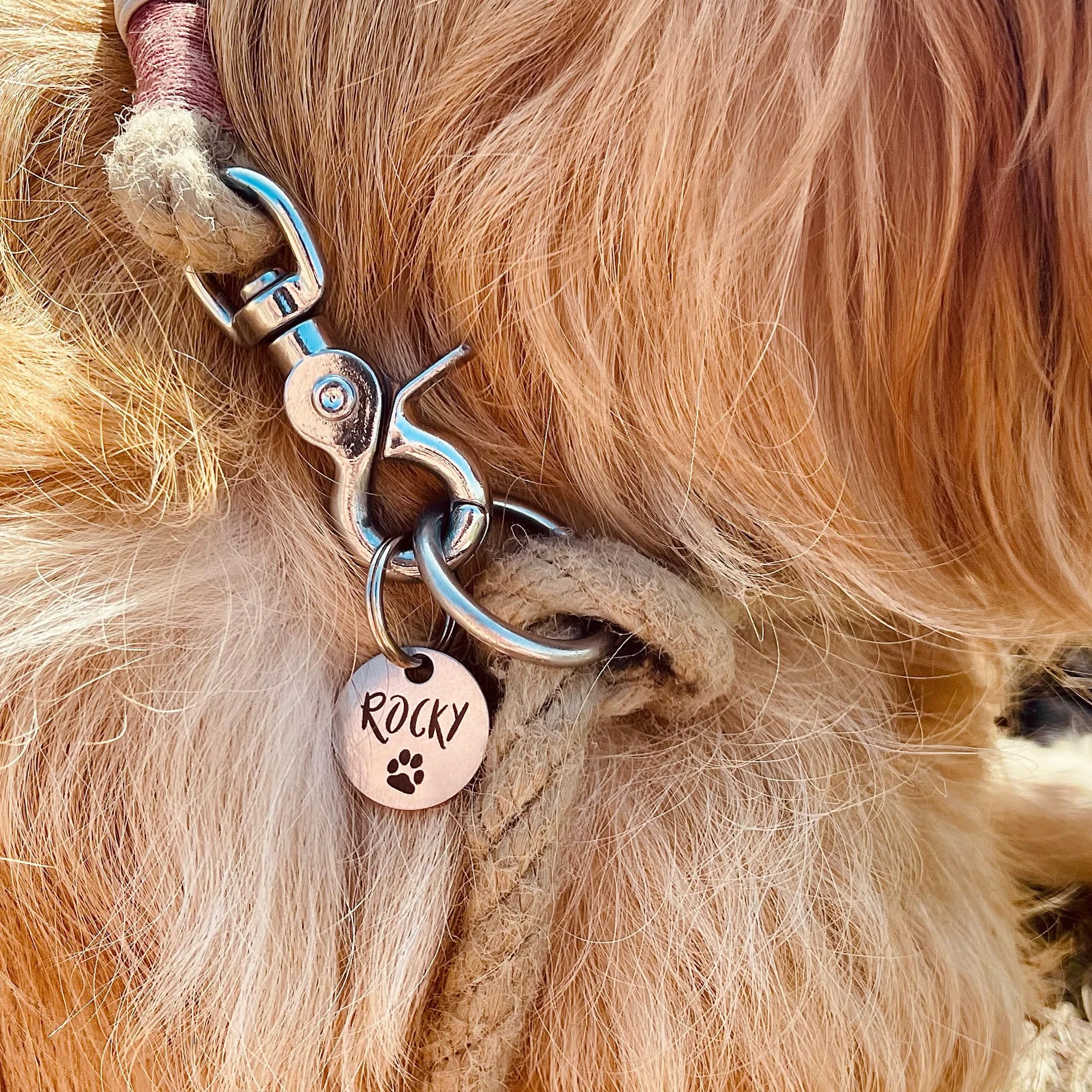 Médaille d’identification personnalisée pour chien en acier inoxydable avec gravure du nom, numéro de téléphone, adresse et date – pour Noël et anniversaire