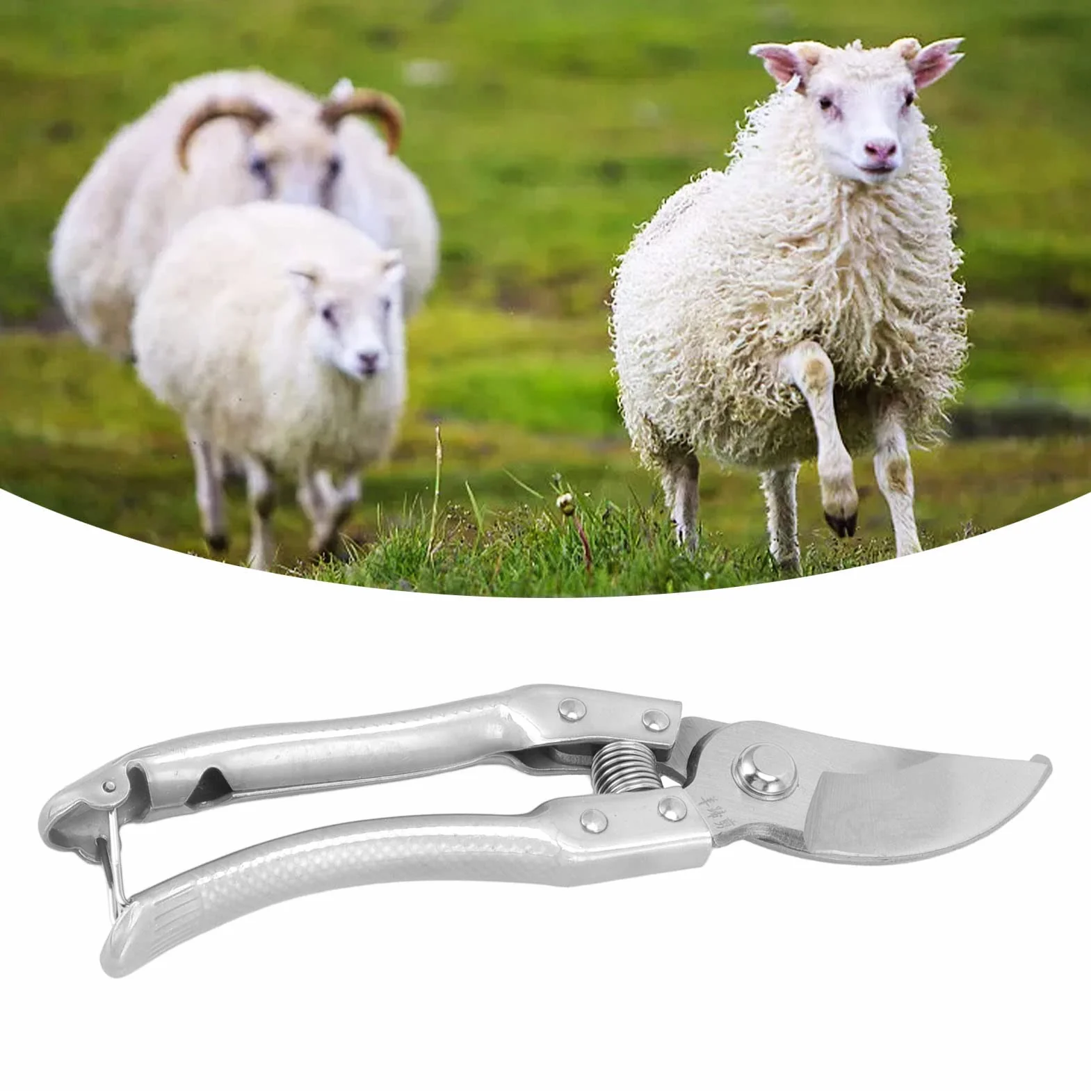 Cisailles ongles pour Moutons, Pince de Cisaillement Pig Trotter avec Ressort Forte Outil Réparation Ongles Animaux Argent