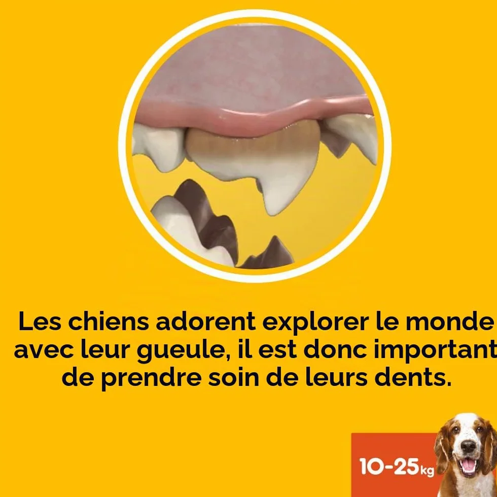 PEDIGREE DENTASTIX Bâtonnets Dentaires pour Chien Moyen 10-25kg - Lot de 56 Friandises - Hygiène Bucco-dentaire